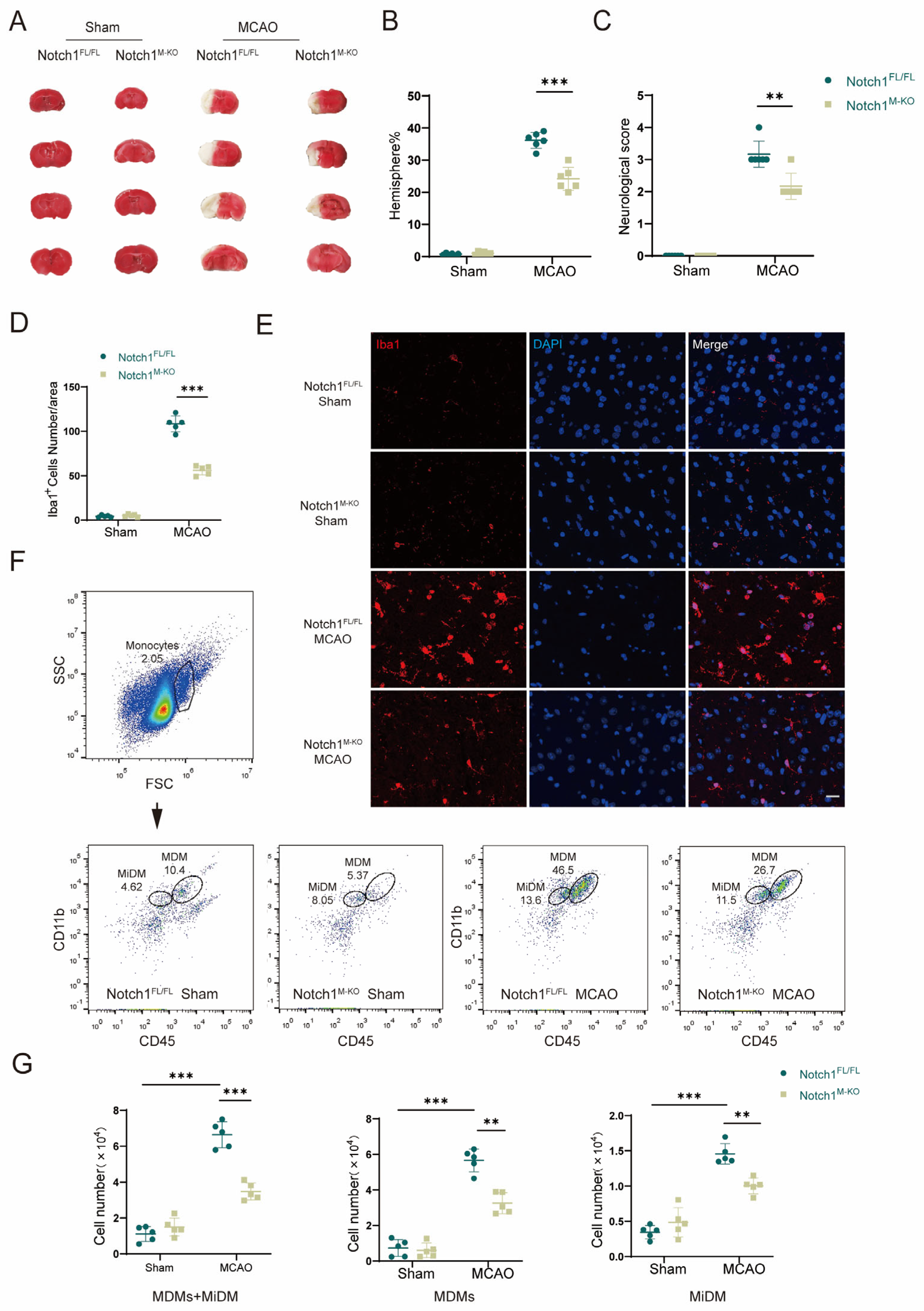 Brainsci 13 01657 g002