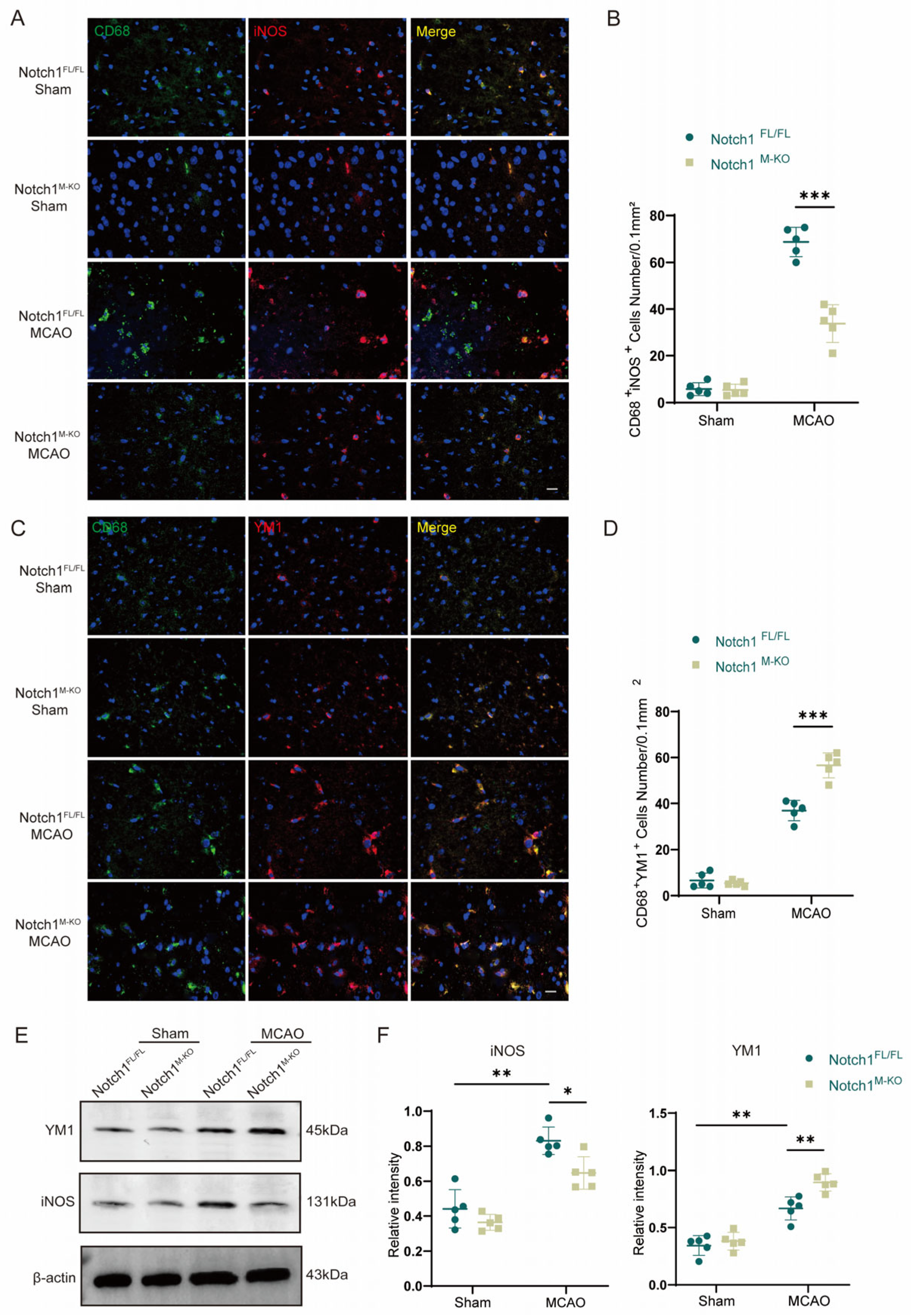 Brainsci 13 01657 g003