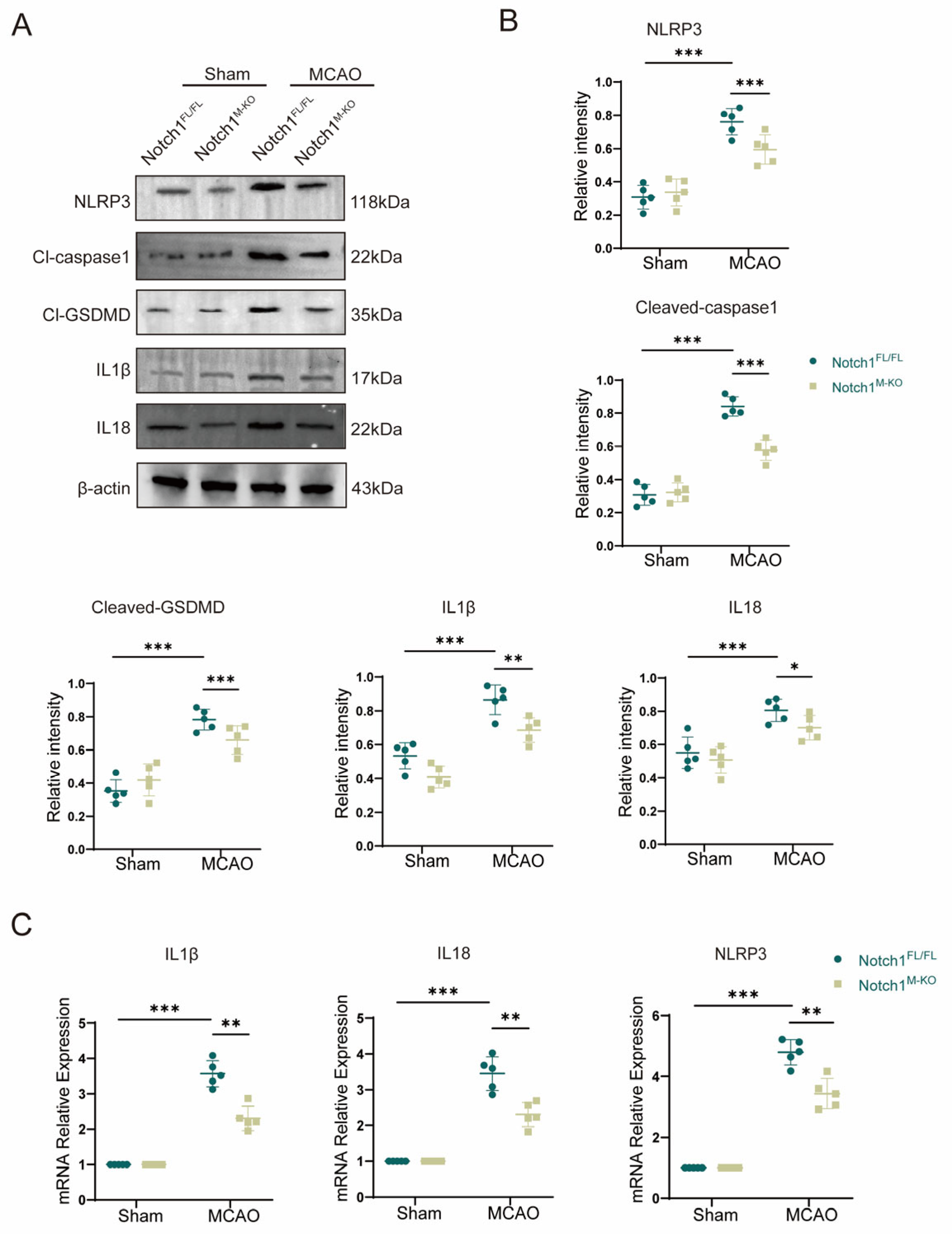 Brainsci 13 01657 g004