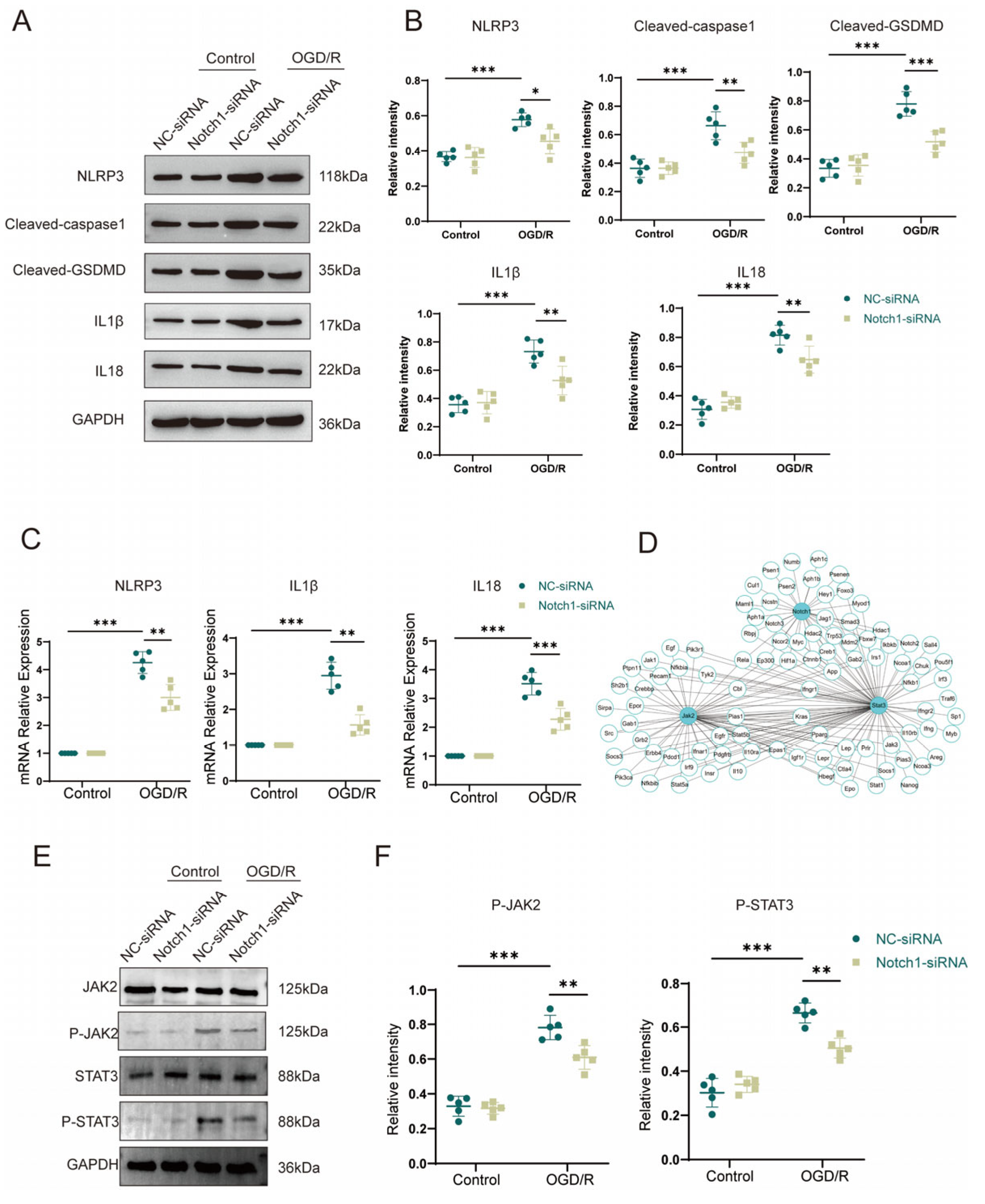 Brainsci 13 01657 g006