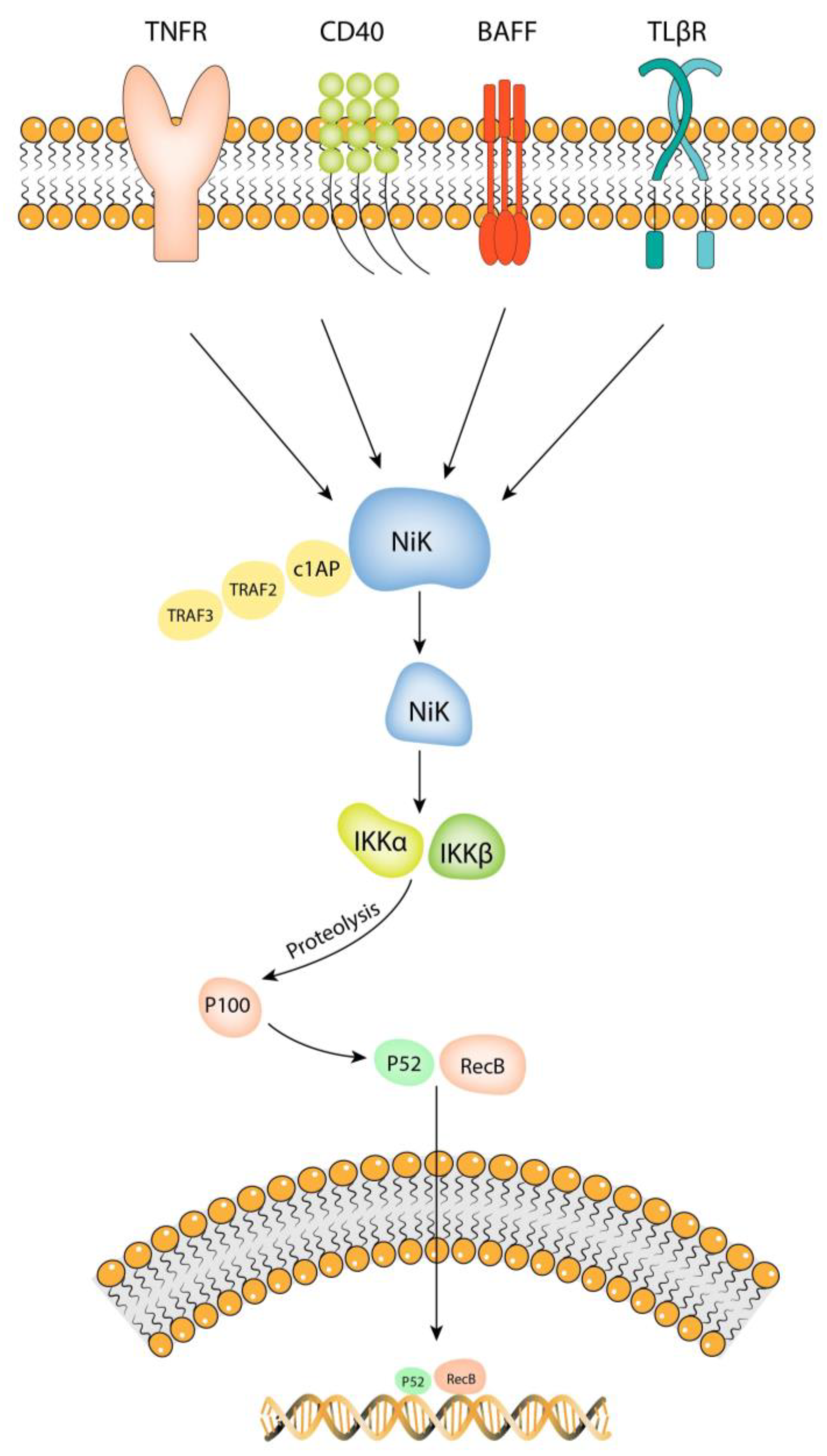 Brainsci 13 01660 g002 Brainsci 13 01660 g002