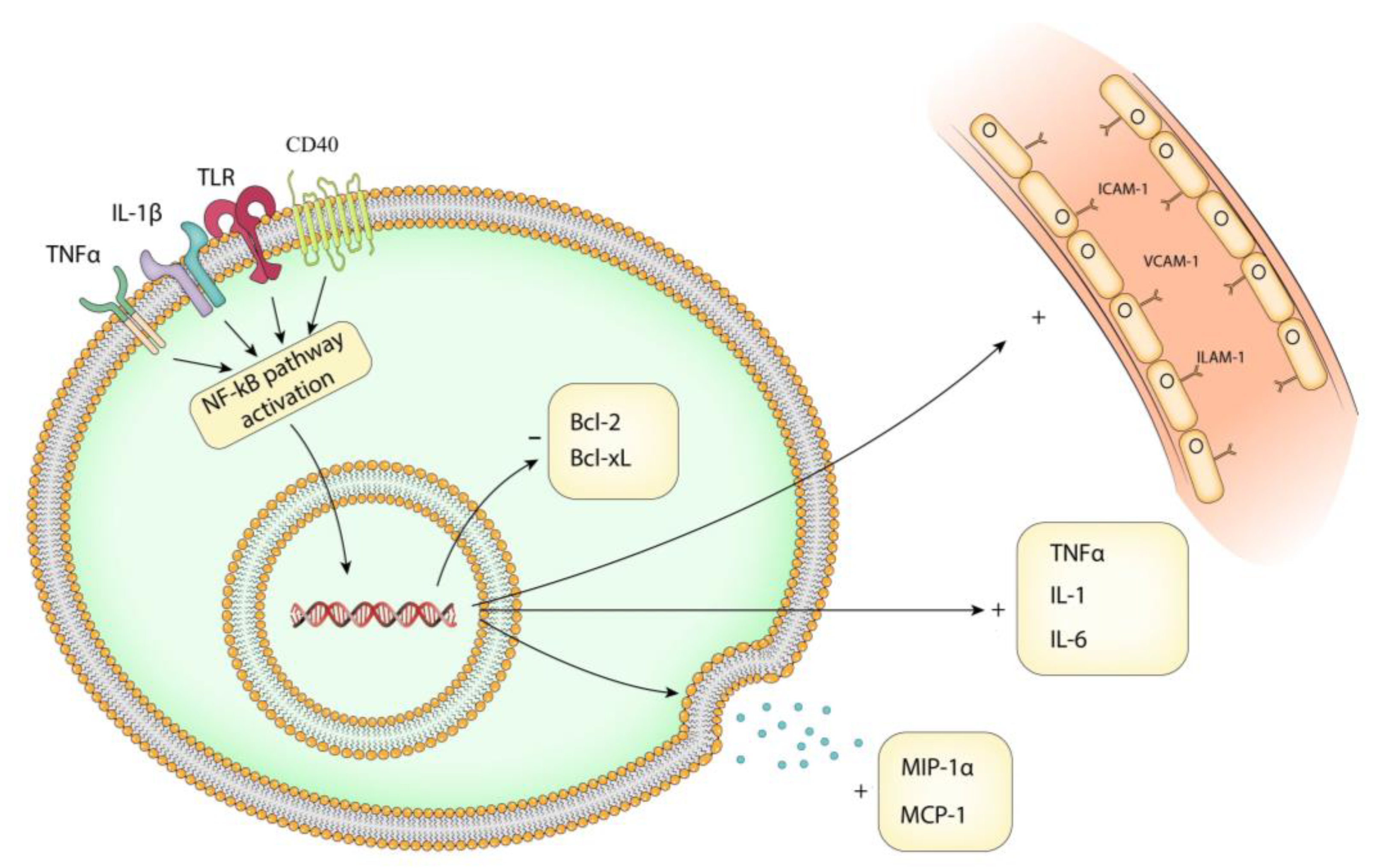 Brainsci 13 01660 g003 Brainsci 13 01660 g003
