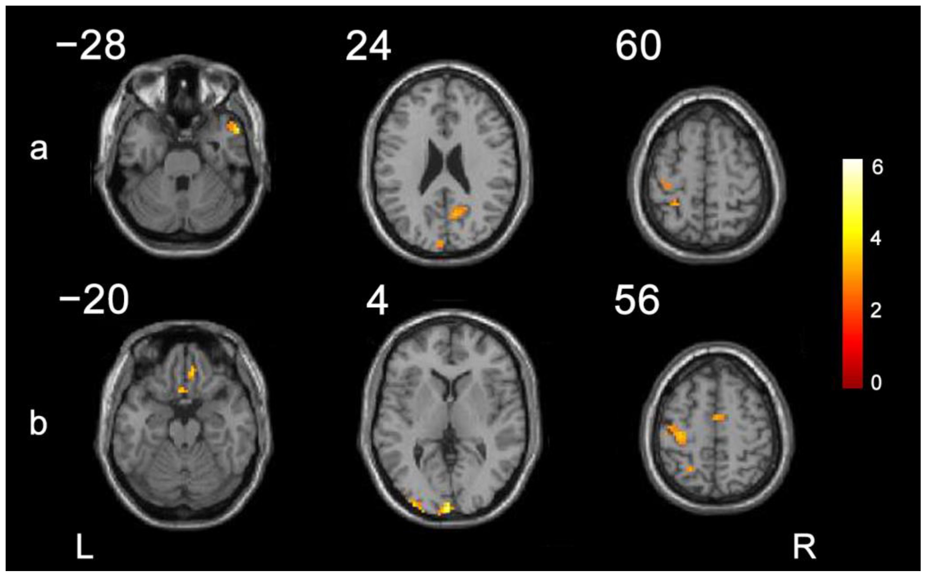 Brainsci 13 01662 g003