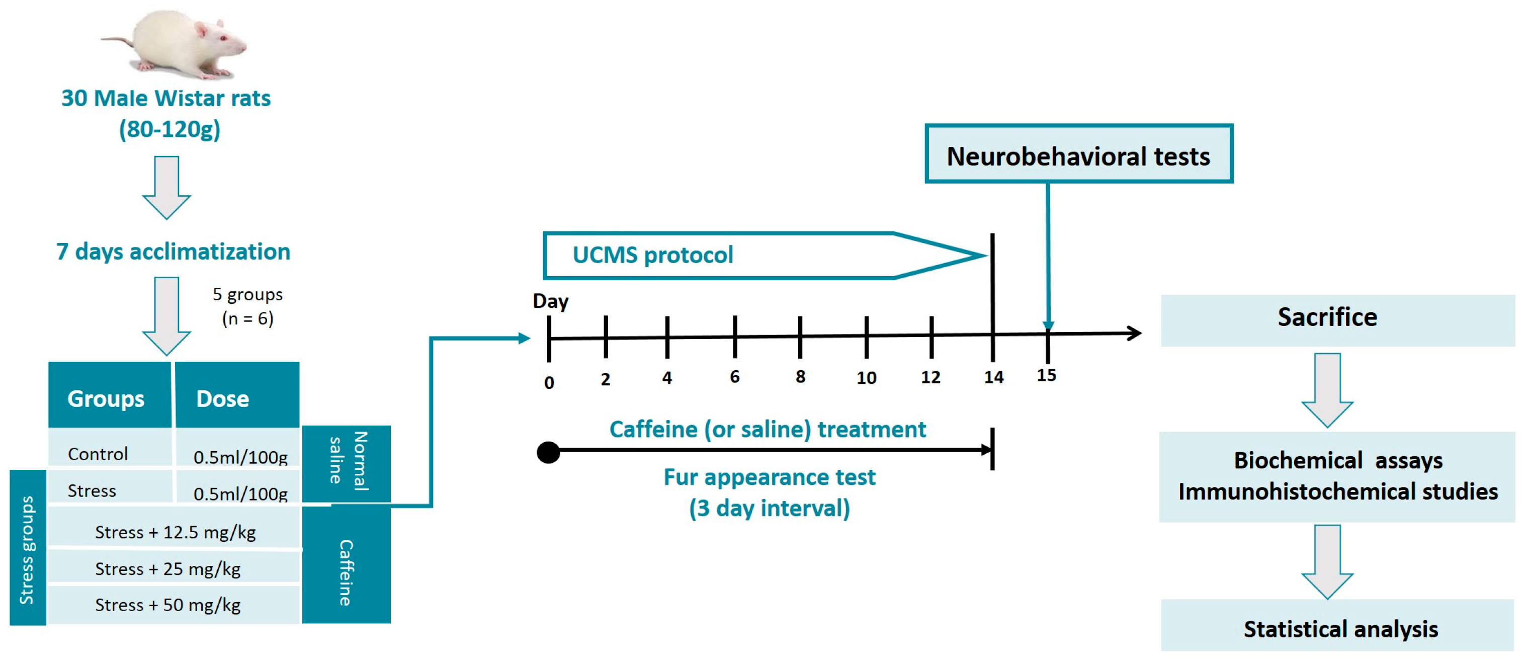 Brainsci 13 01663 g001