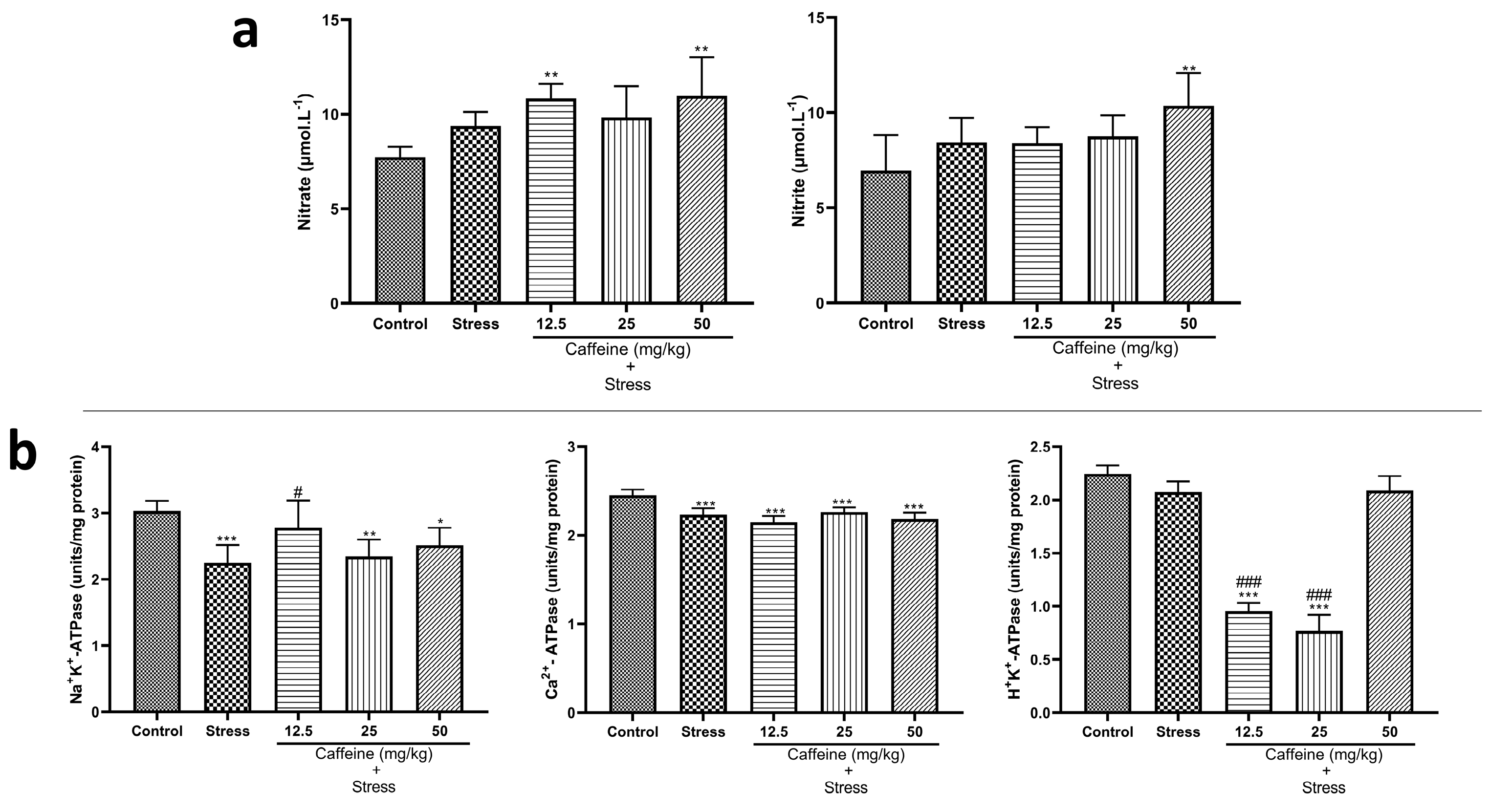 Brainsci 13 01663 g010