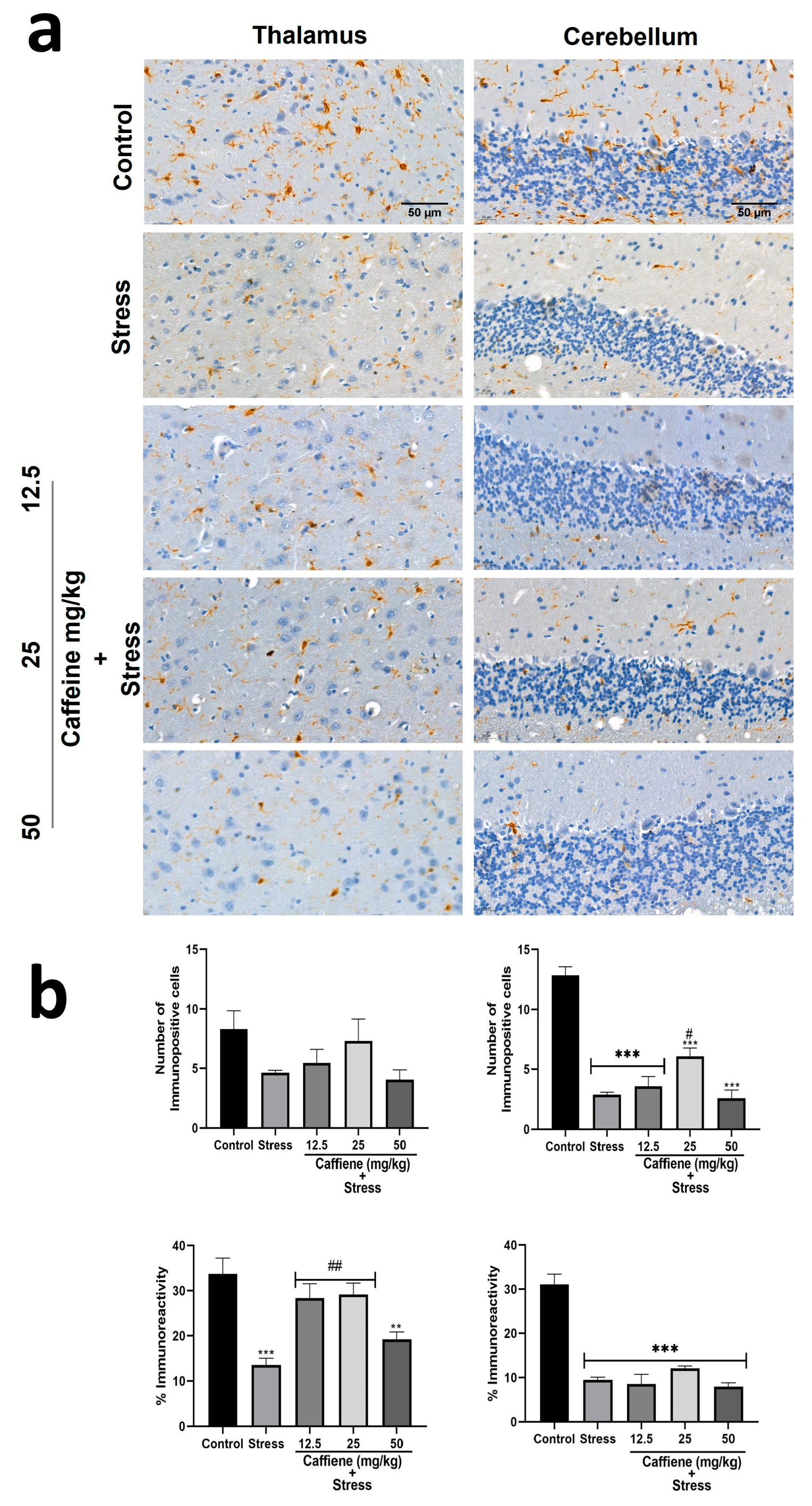 Brainsci 13 01663 g014