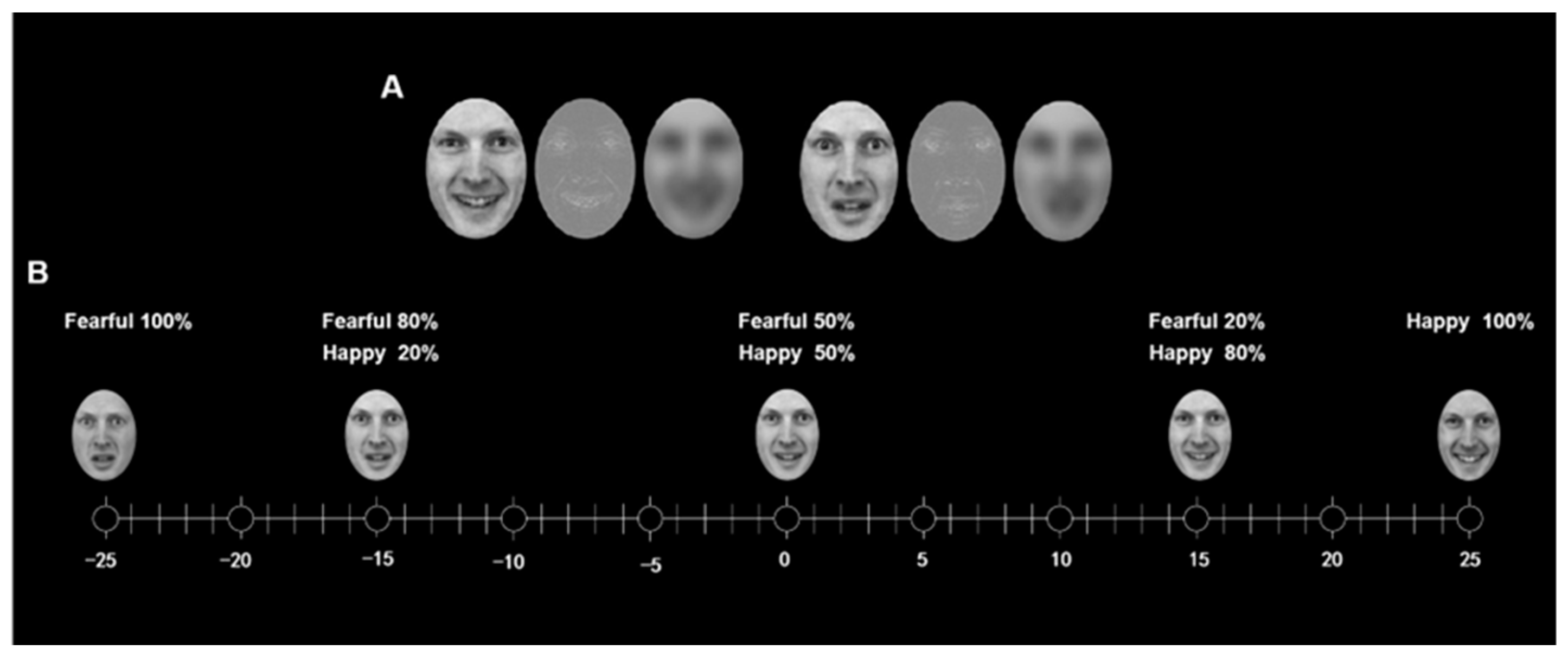 Brainsci 13 01699 g001