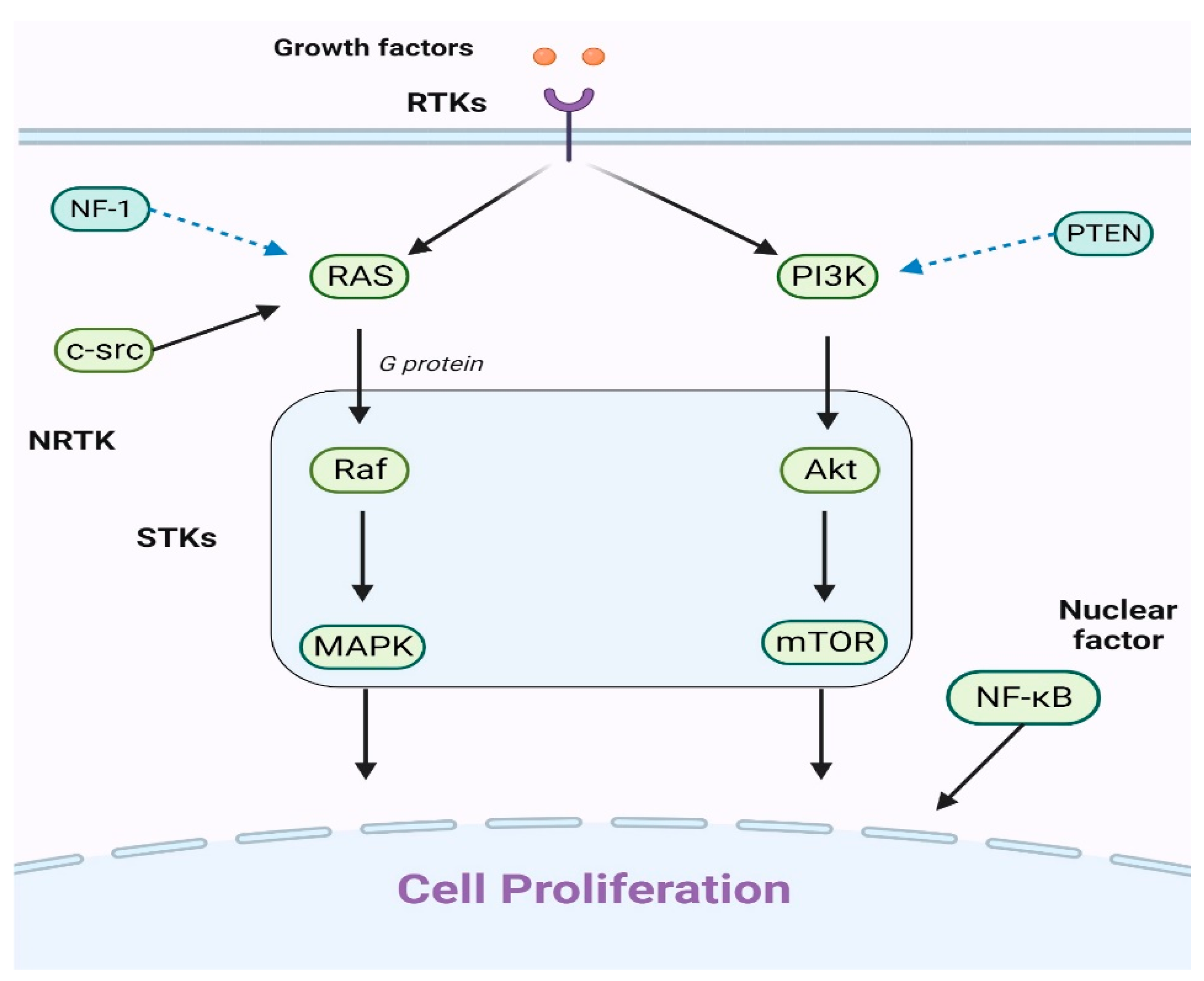 Brainsci 13 01700 g001