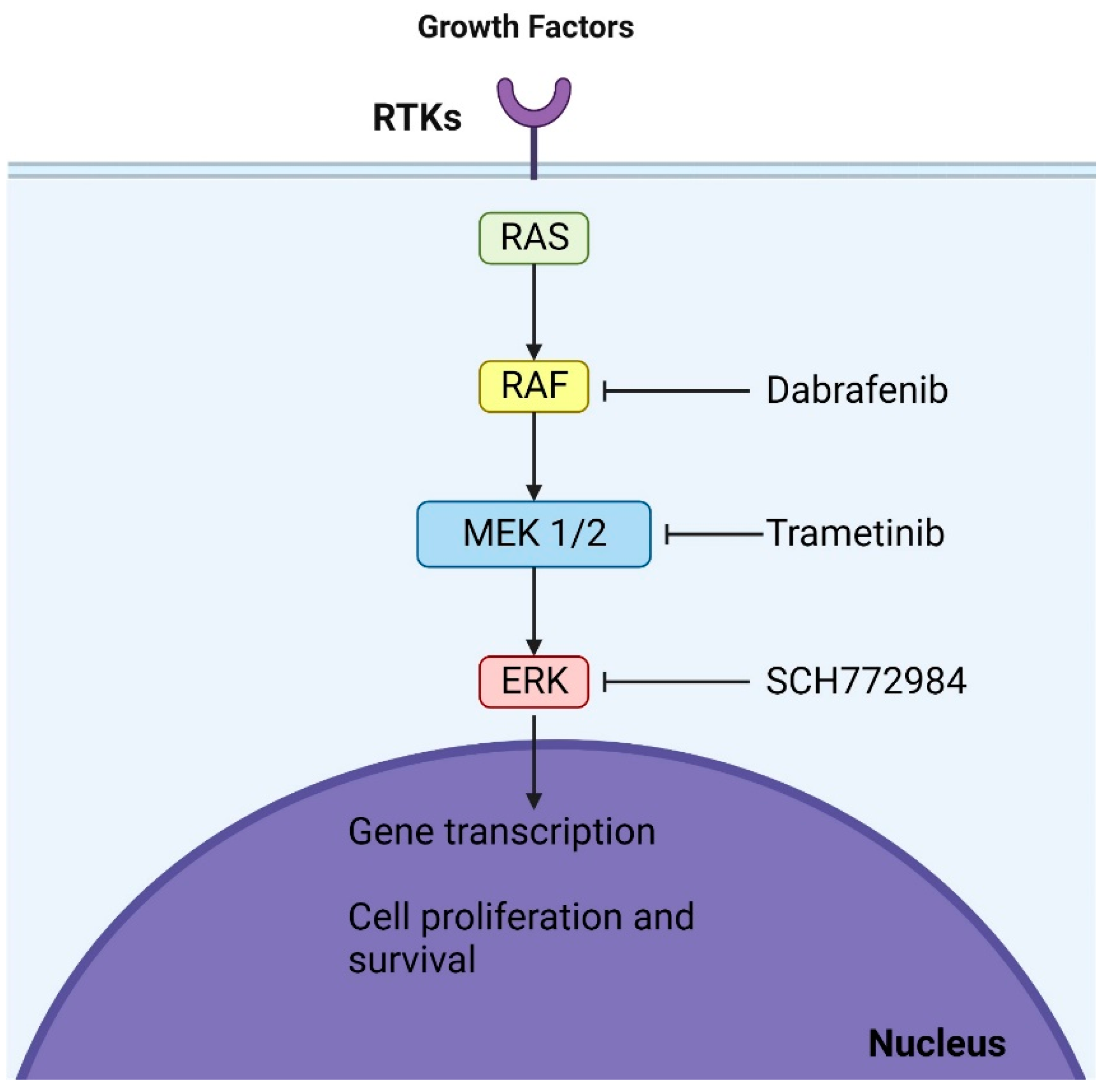 Brainsci 13 01700 g002
