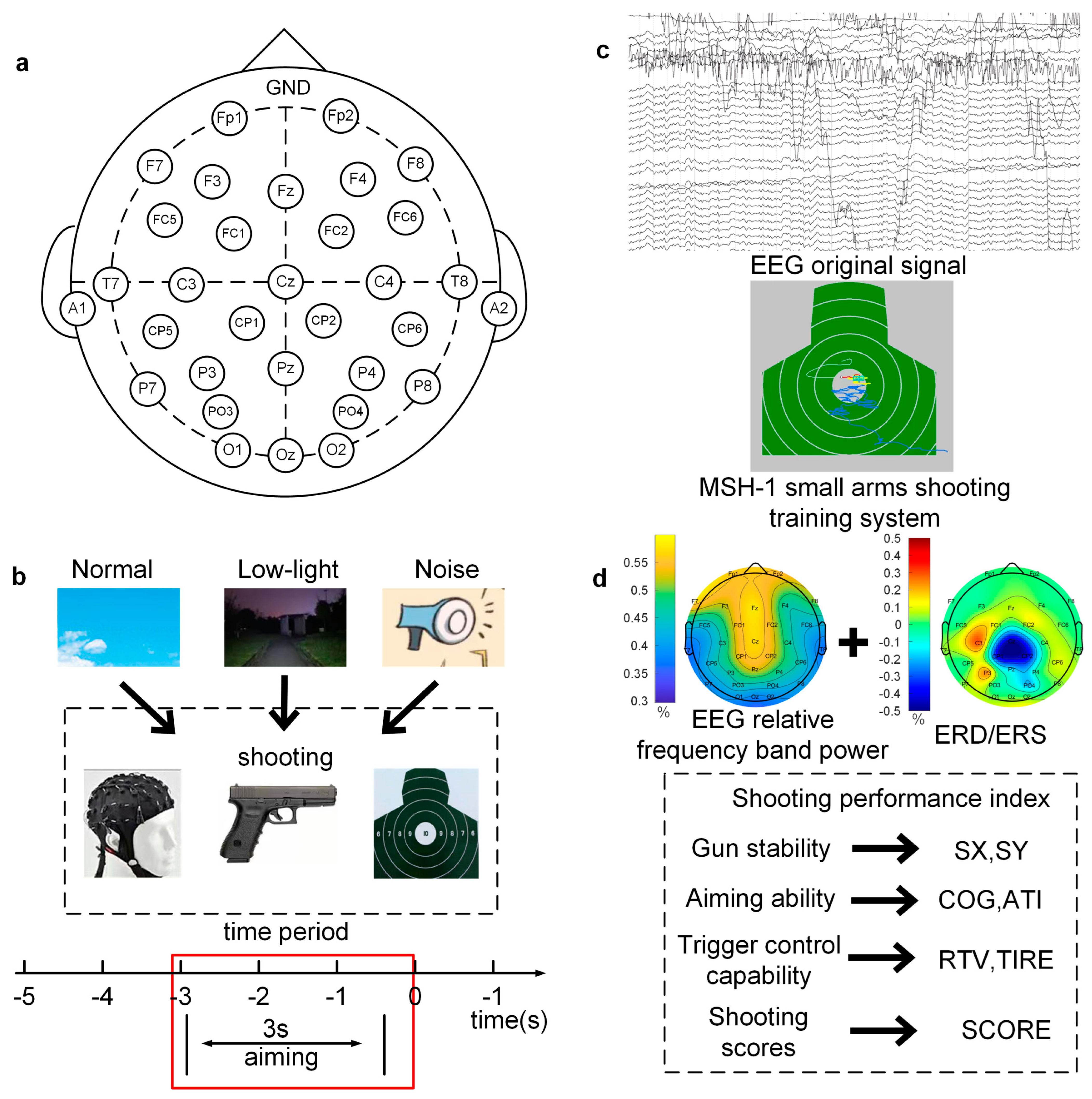 Brainsci 13 01702 g001
