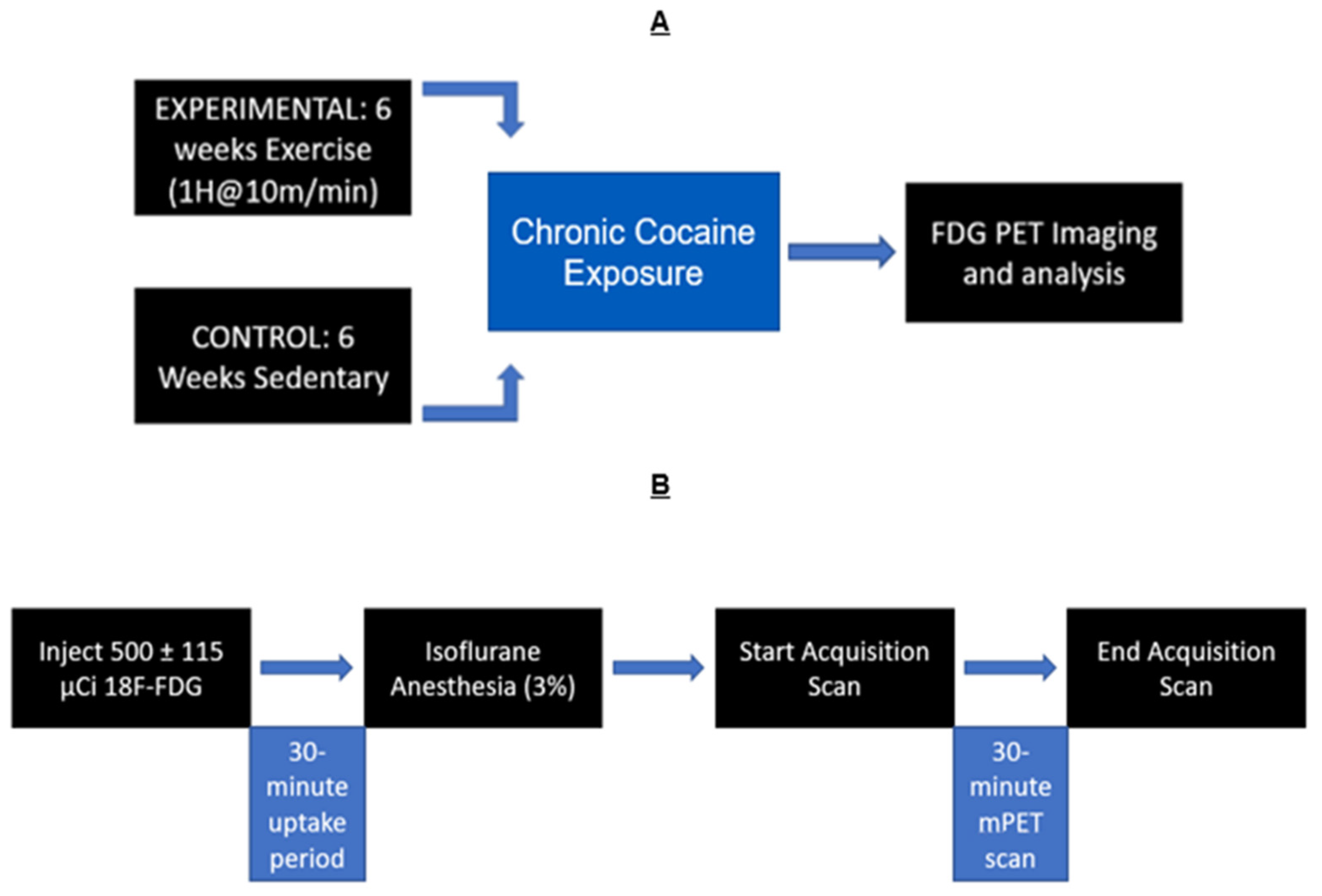 Brainsci 13 01705 g001