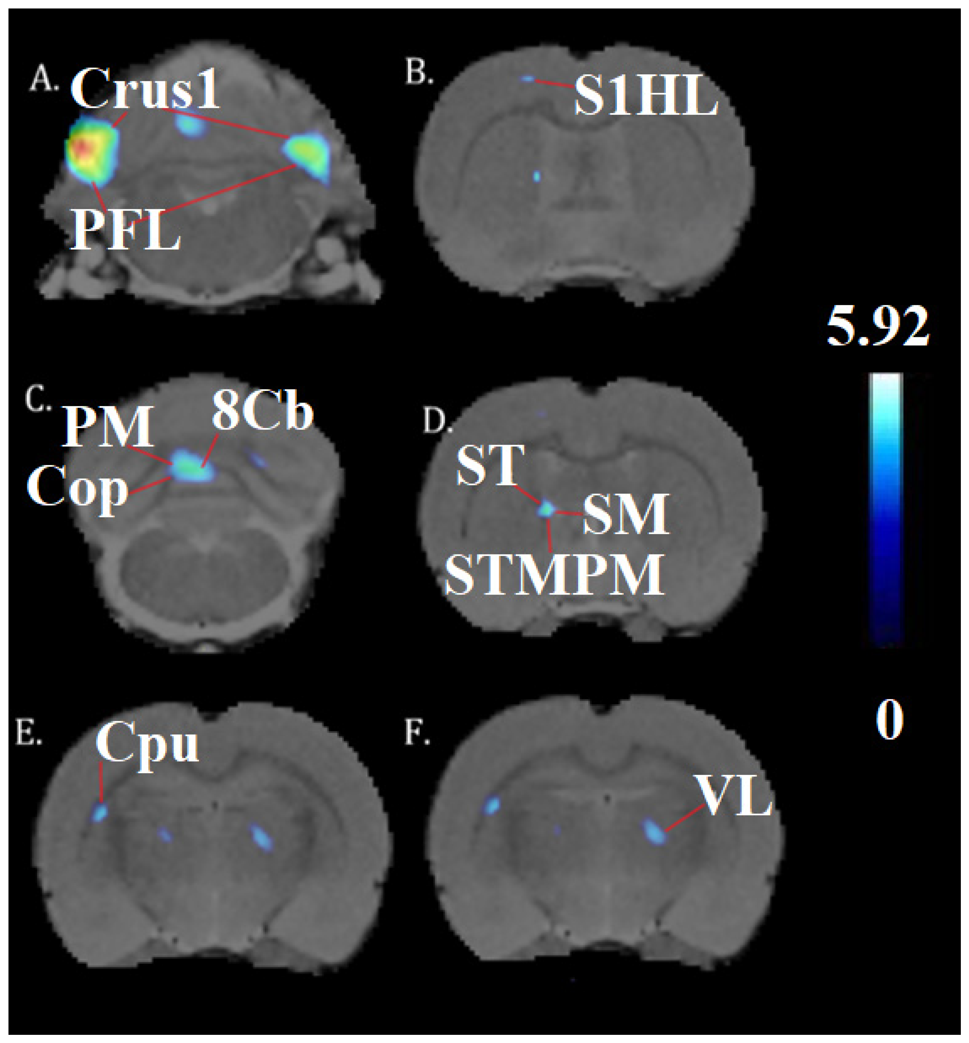 Brainsci 13 01705 g003