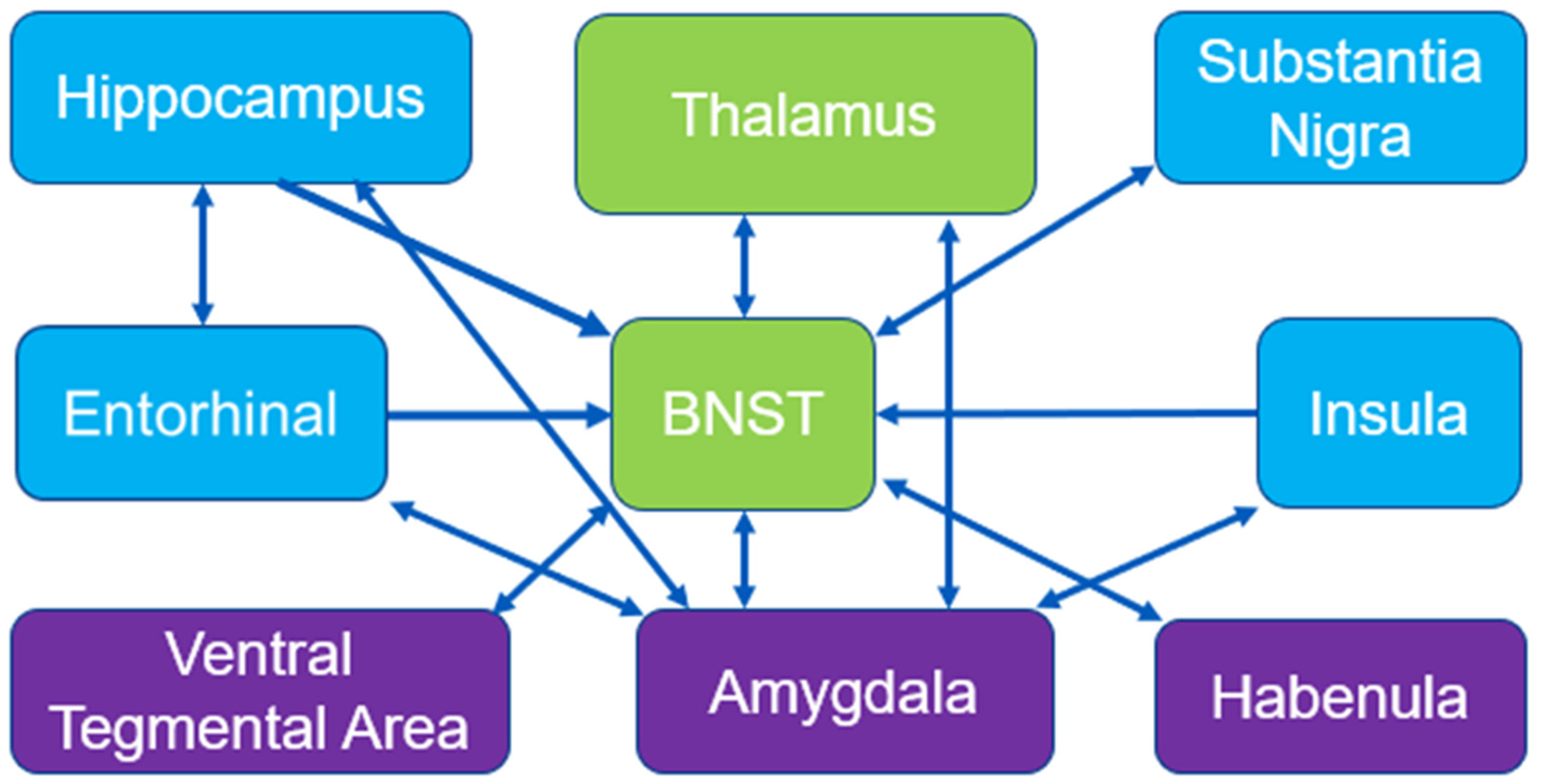 Brainsci 13 01705 g004