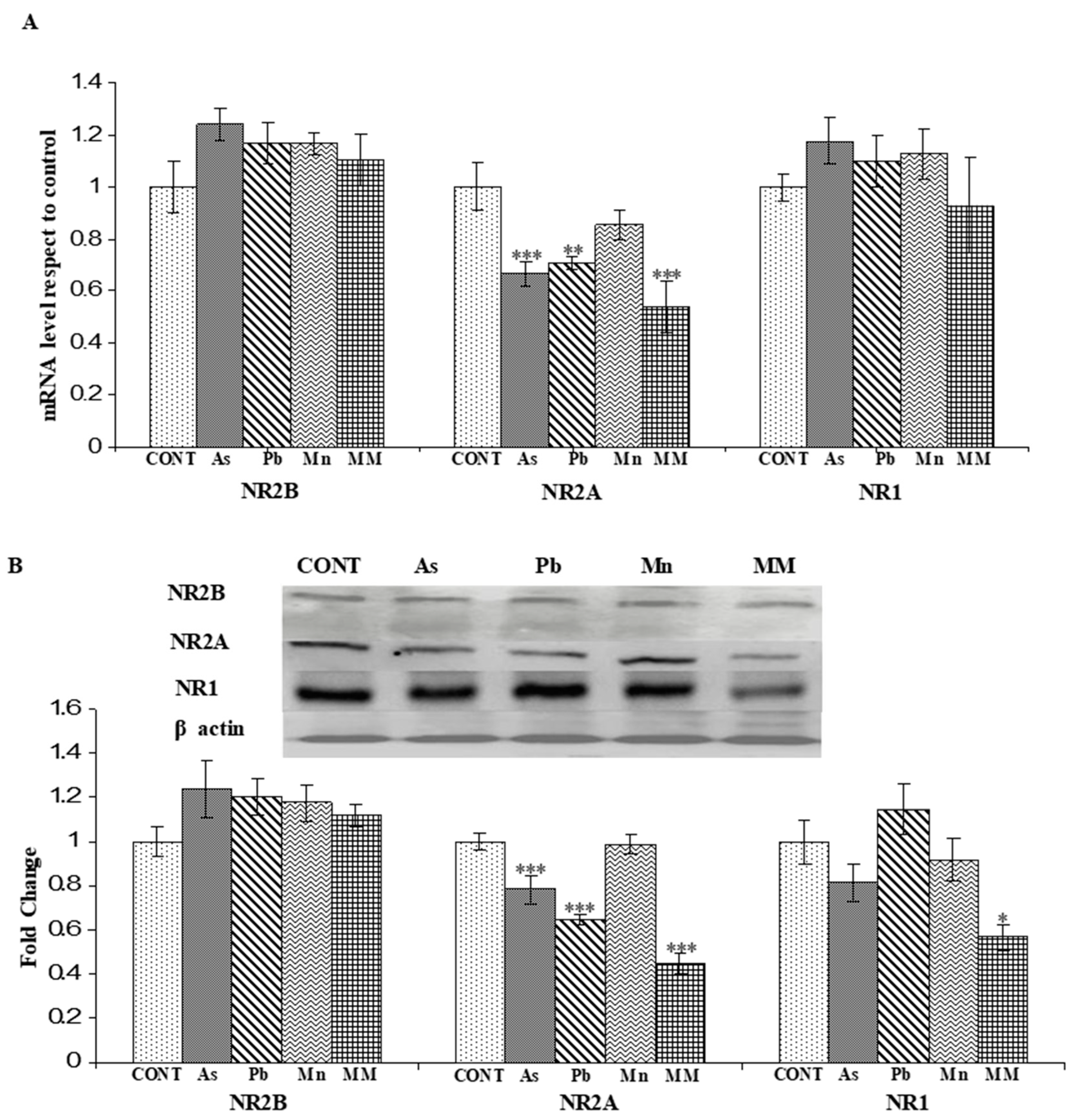 Brainsci 13 01715 g004 Brainsci 13 01715 g004
