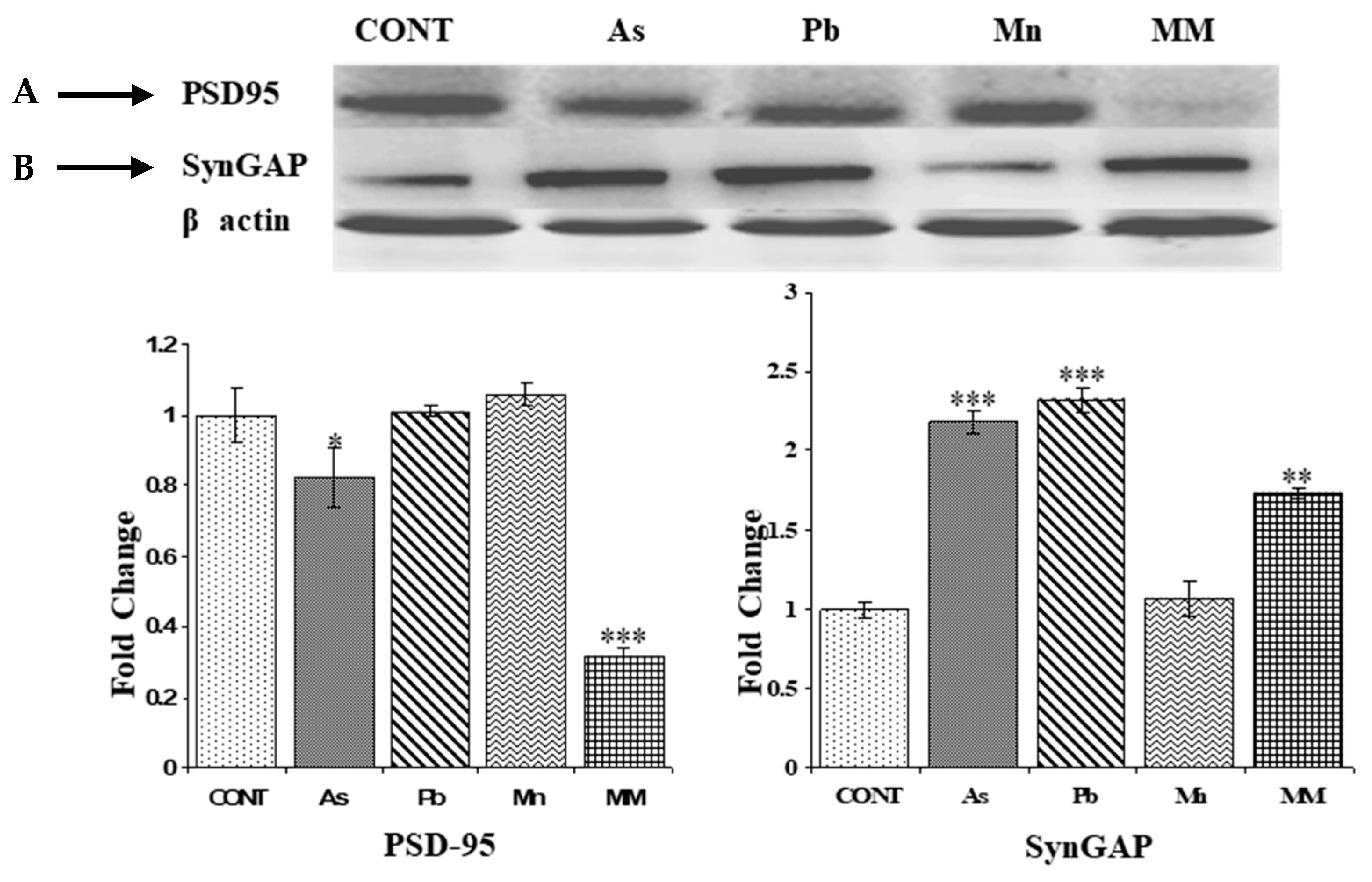 Brainsci 13 01715 g005 Brainsci 13 01715 g005