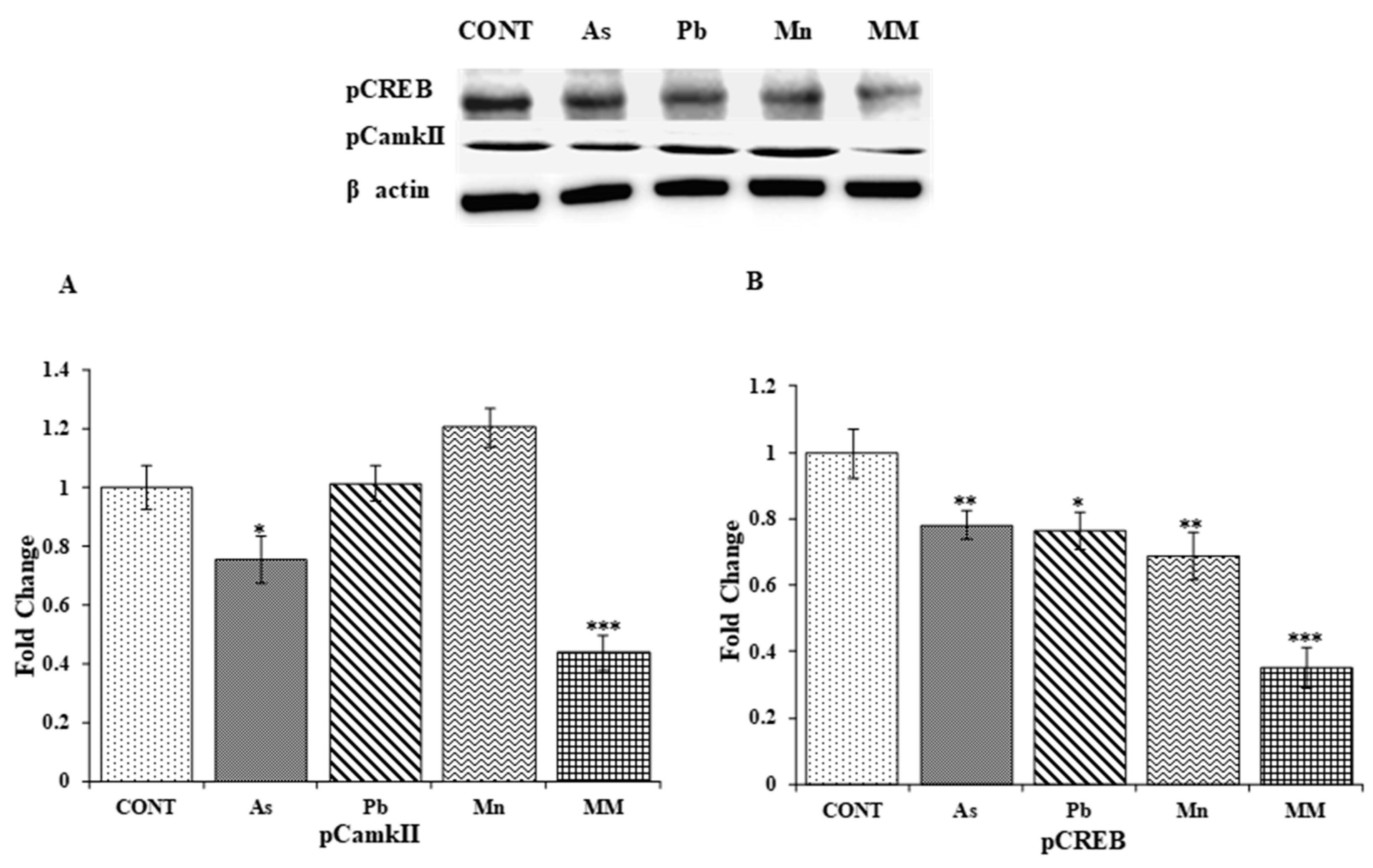 Brainsci 13 01715 g006 Brainsci 13 01715 g006