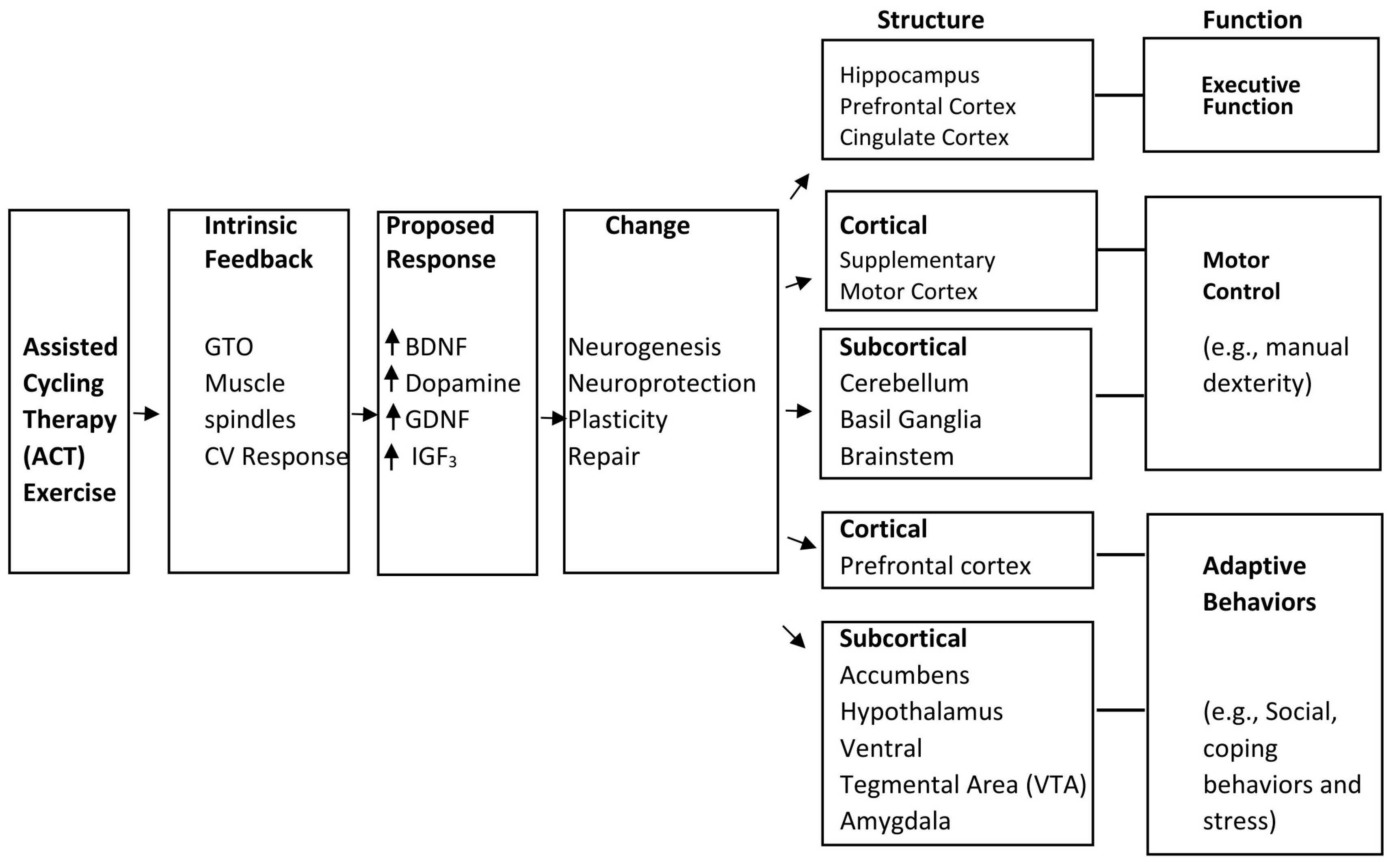 Brainsci 13 01719 g003