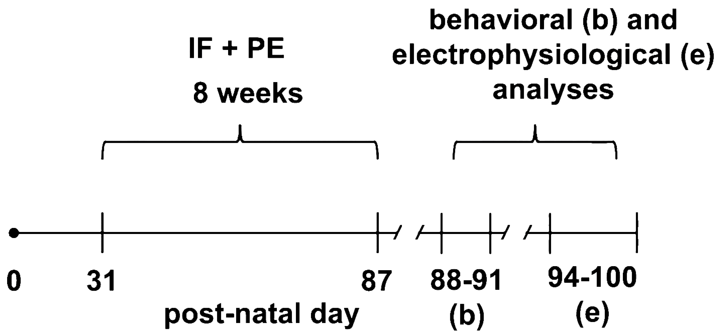 Brainsci 13 01726 g001