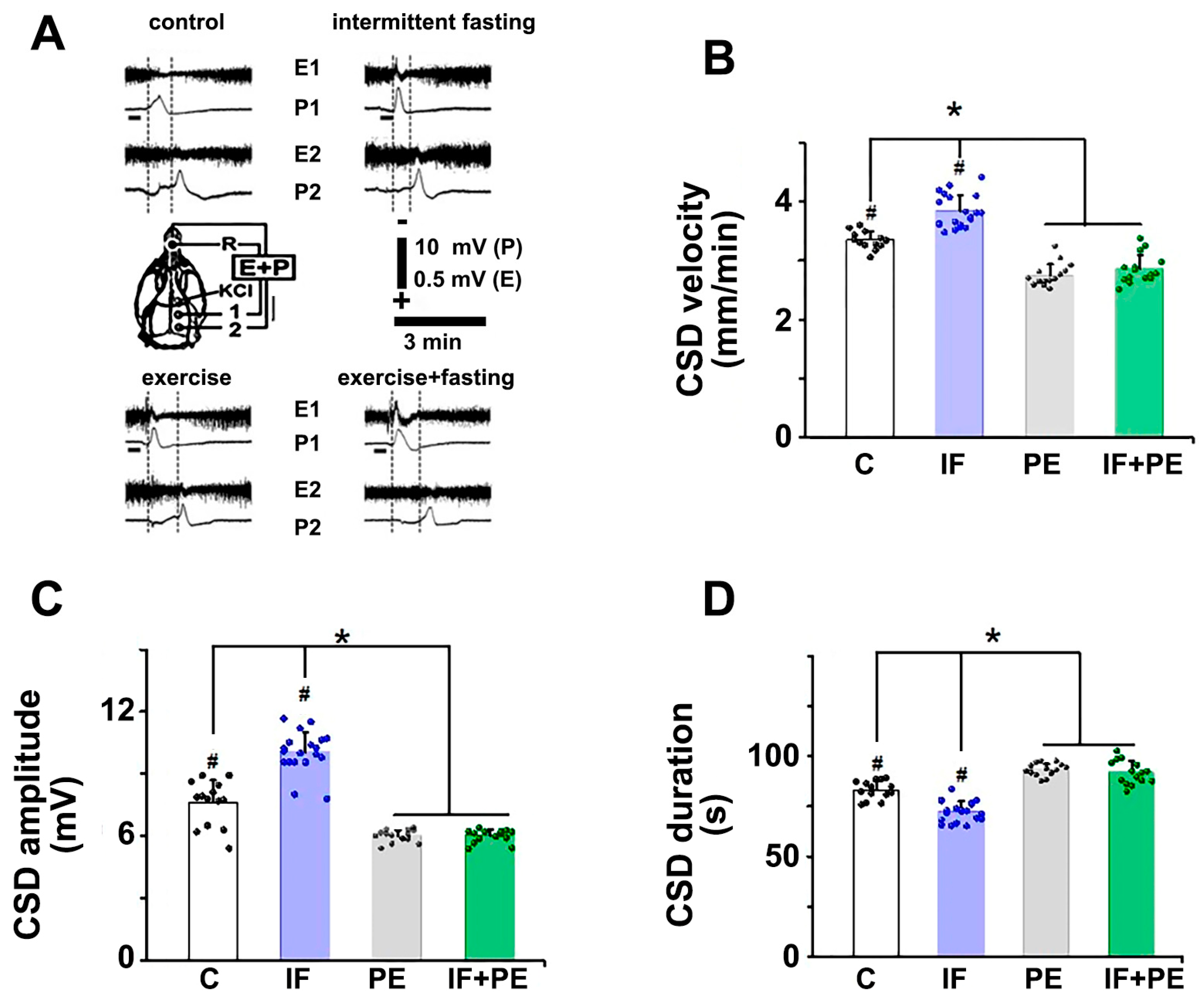 Brainsci 13 01726 g005