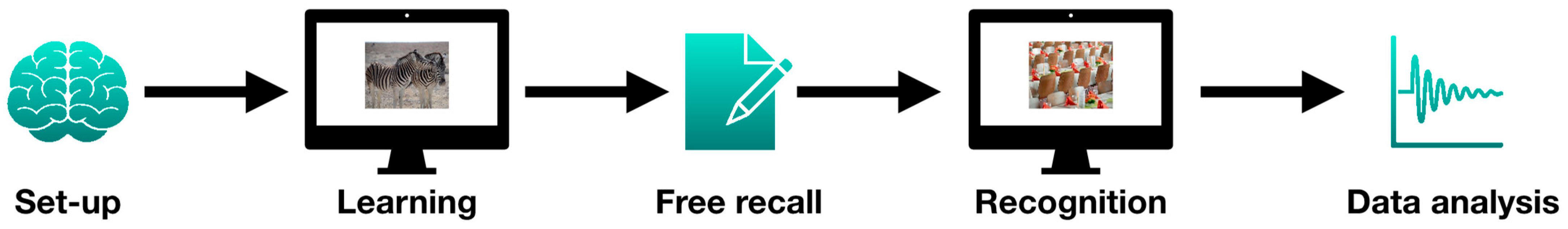 Brainsci 14 00002 g001