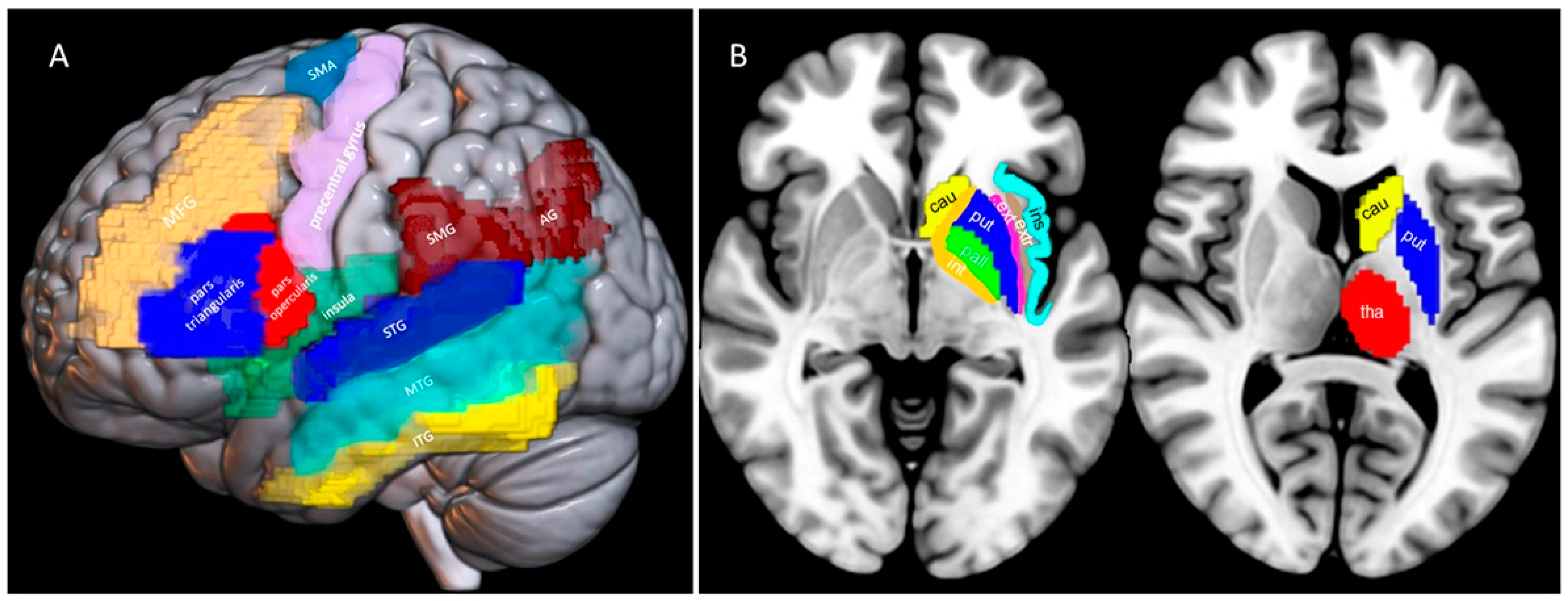 Brainsci 14 00007 g001