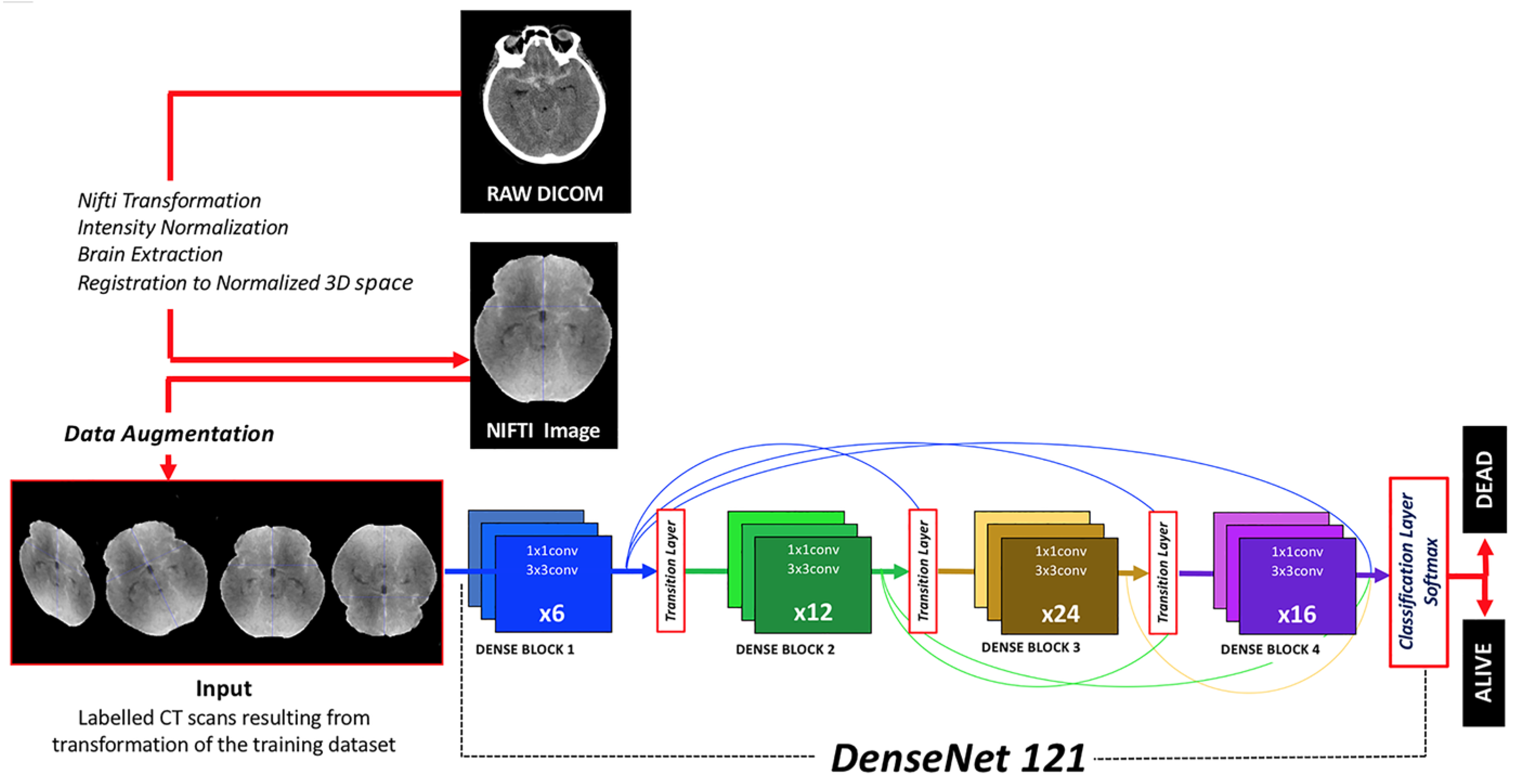 Brainsci 14 00010 g001
