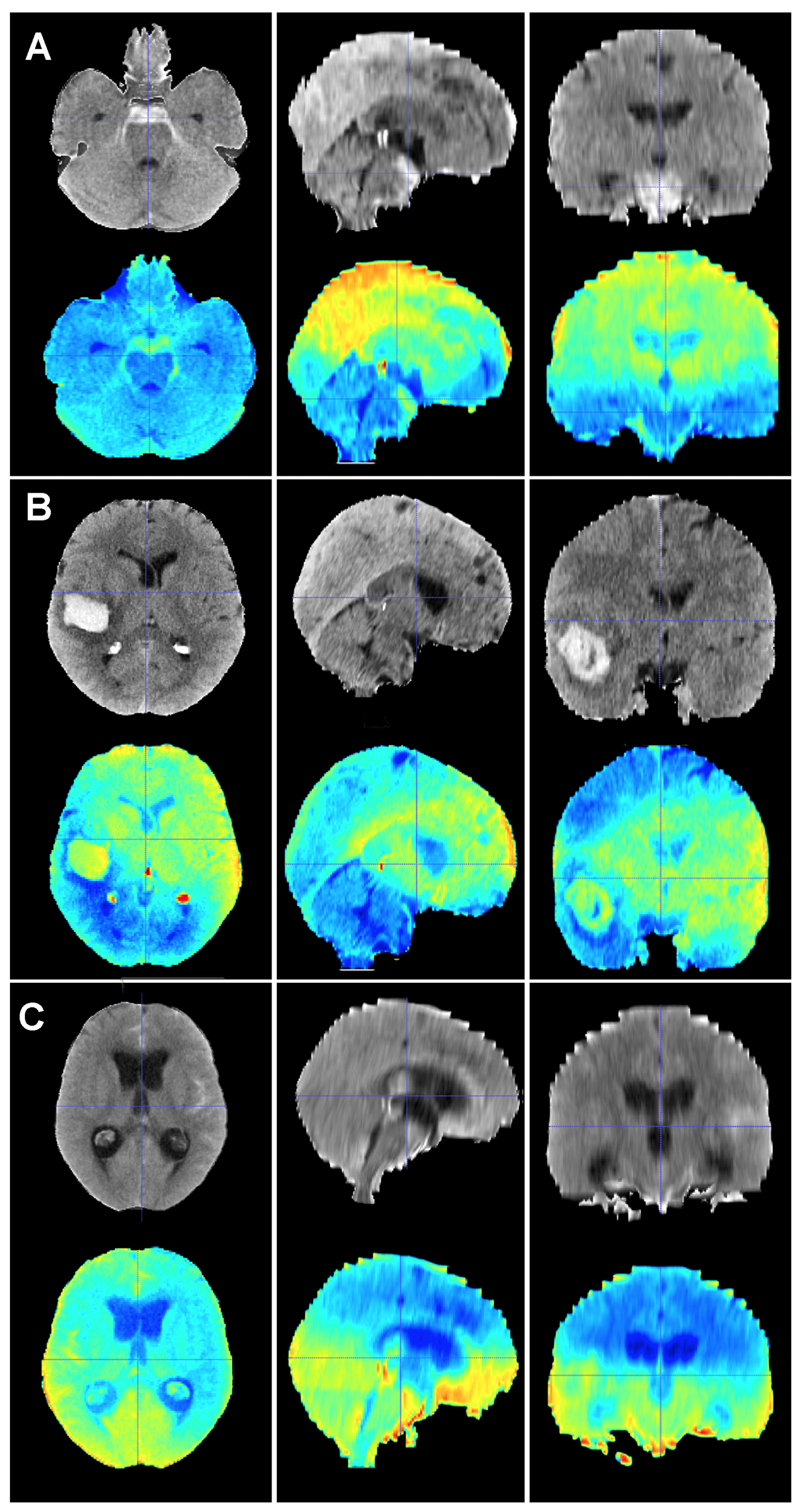 Brainsci 14 00010 g005