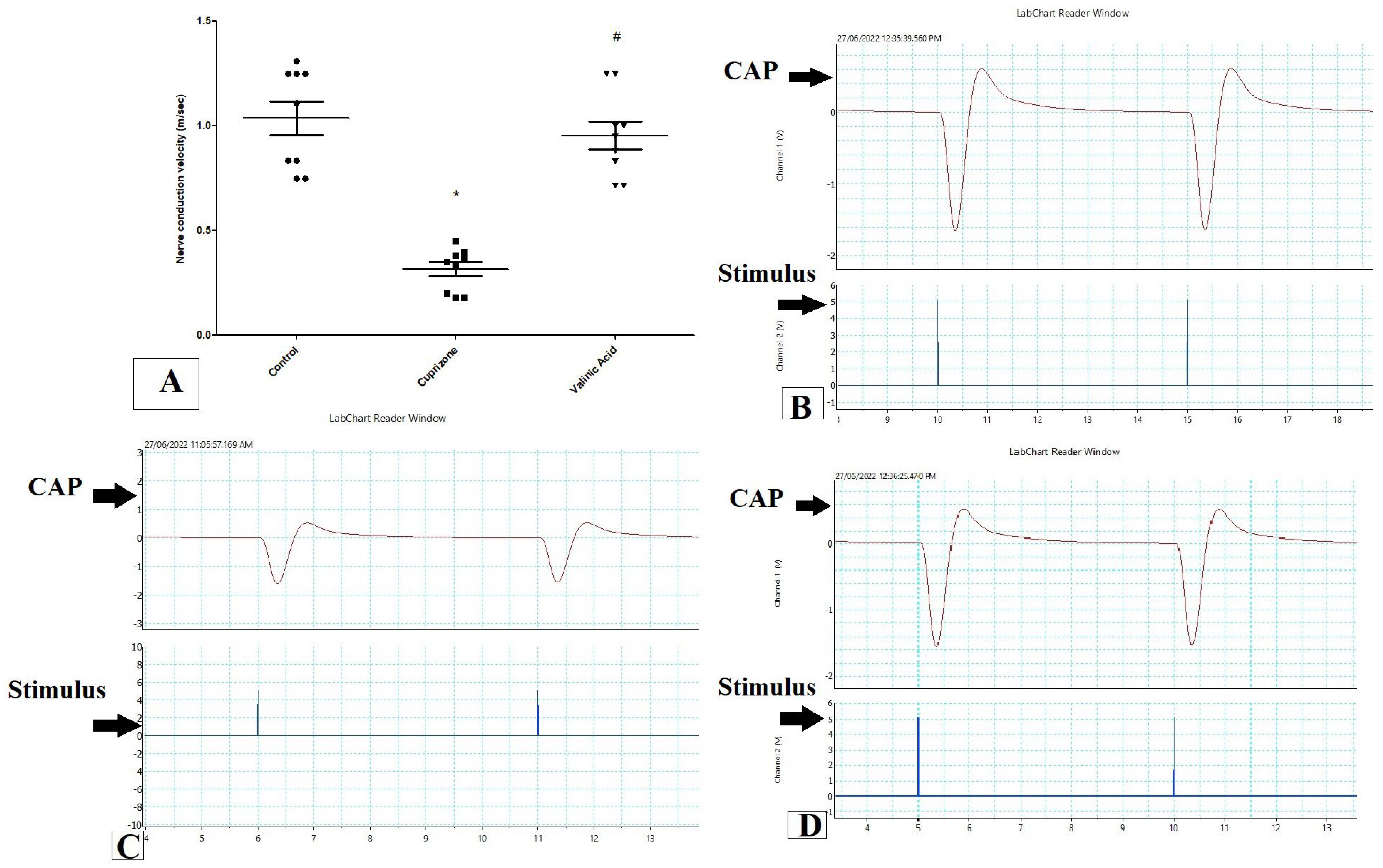 Brainsci 14 00012 g001