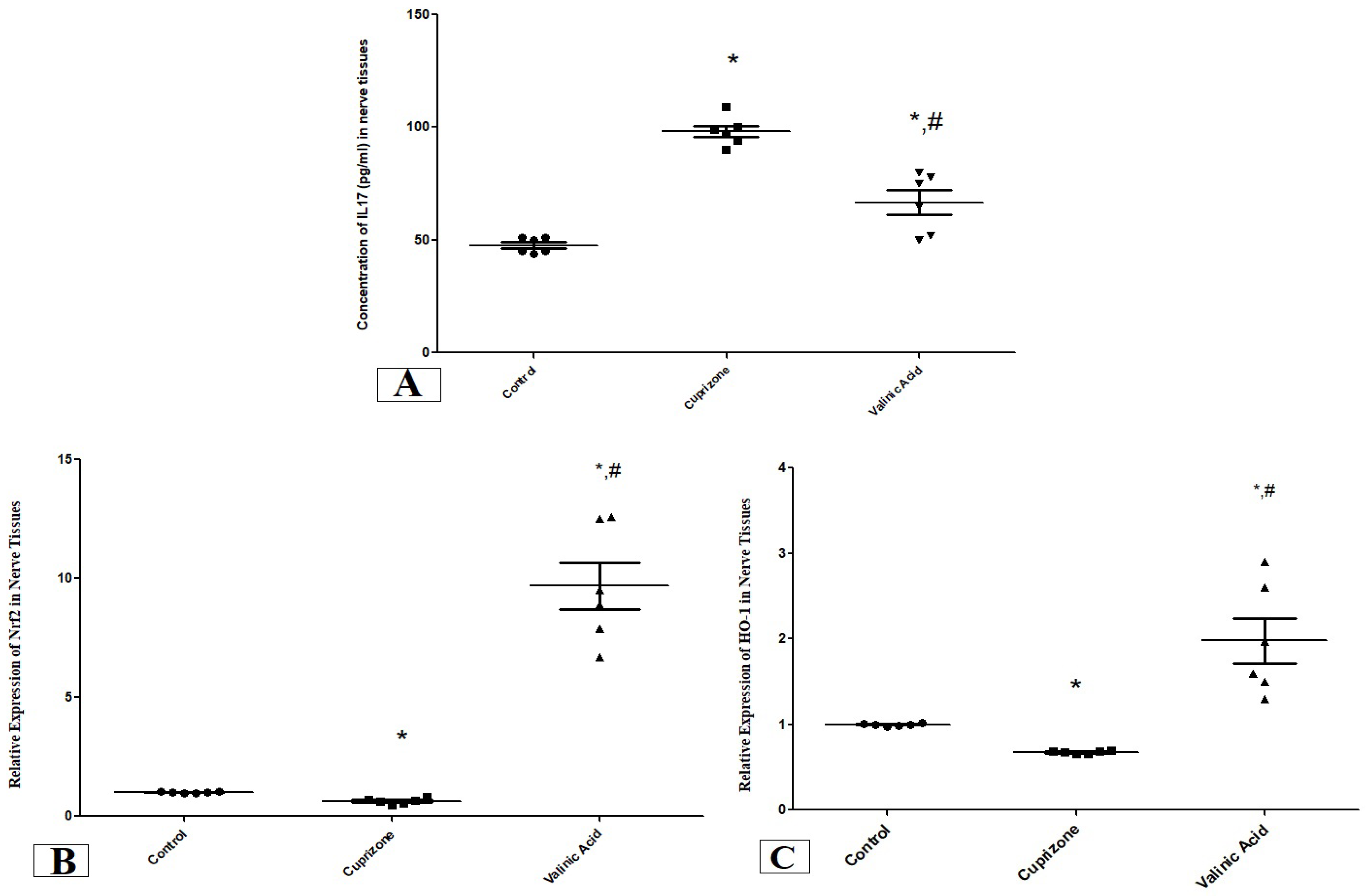 Brainsci 14 00012 g002