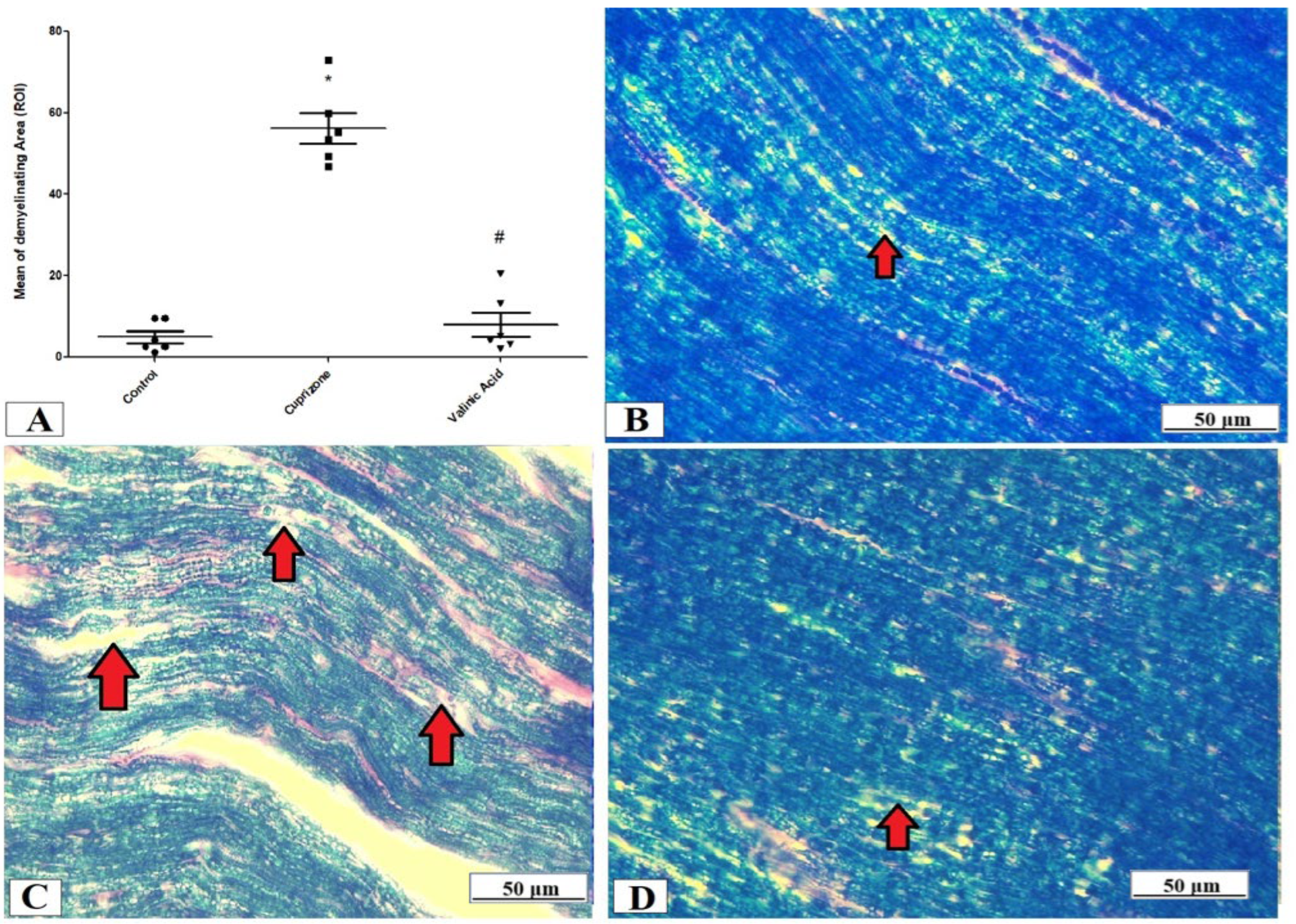 Brainsci 14 00012 g003