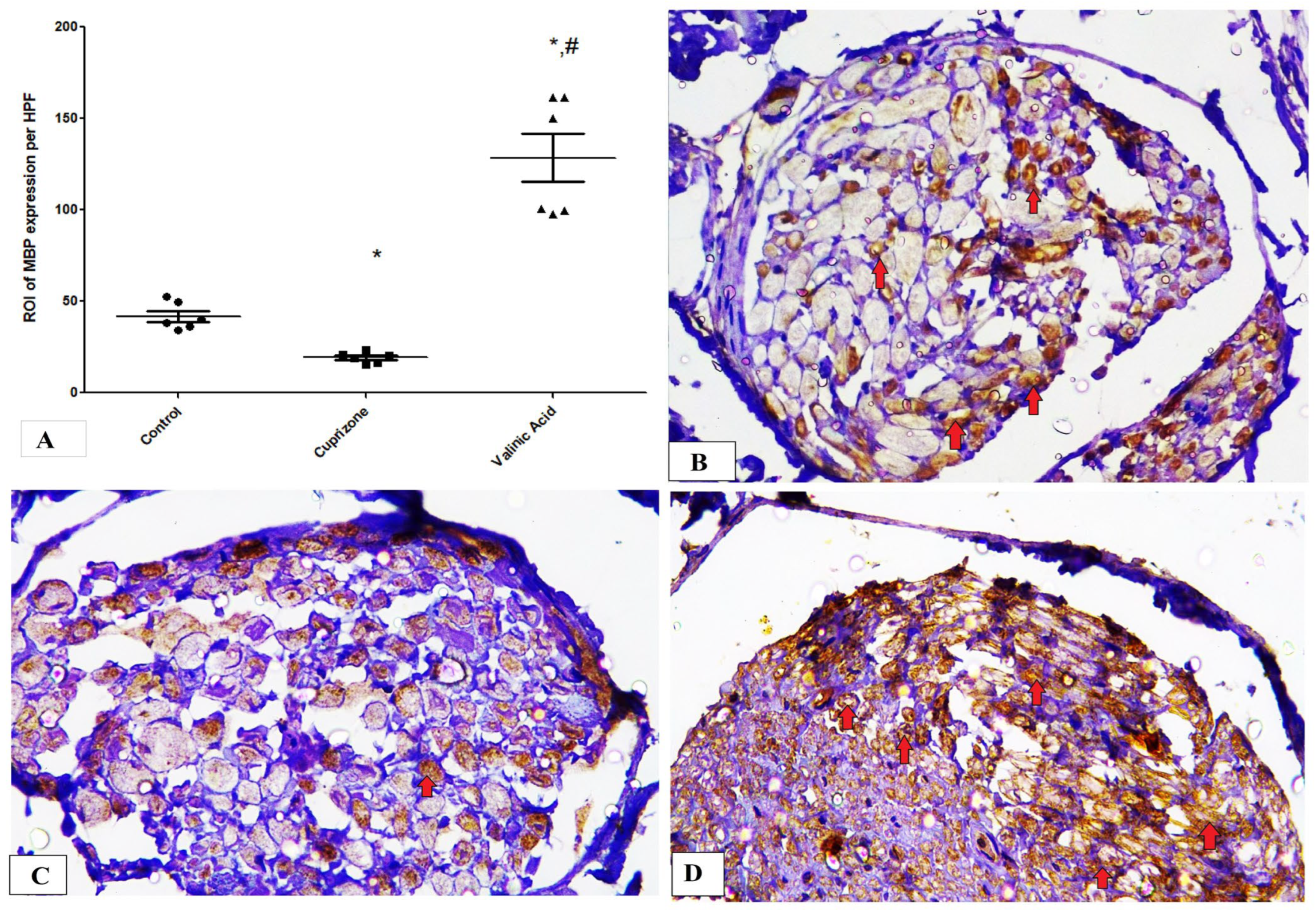 Brainsci 14 00012 g004