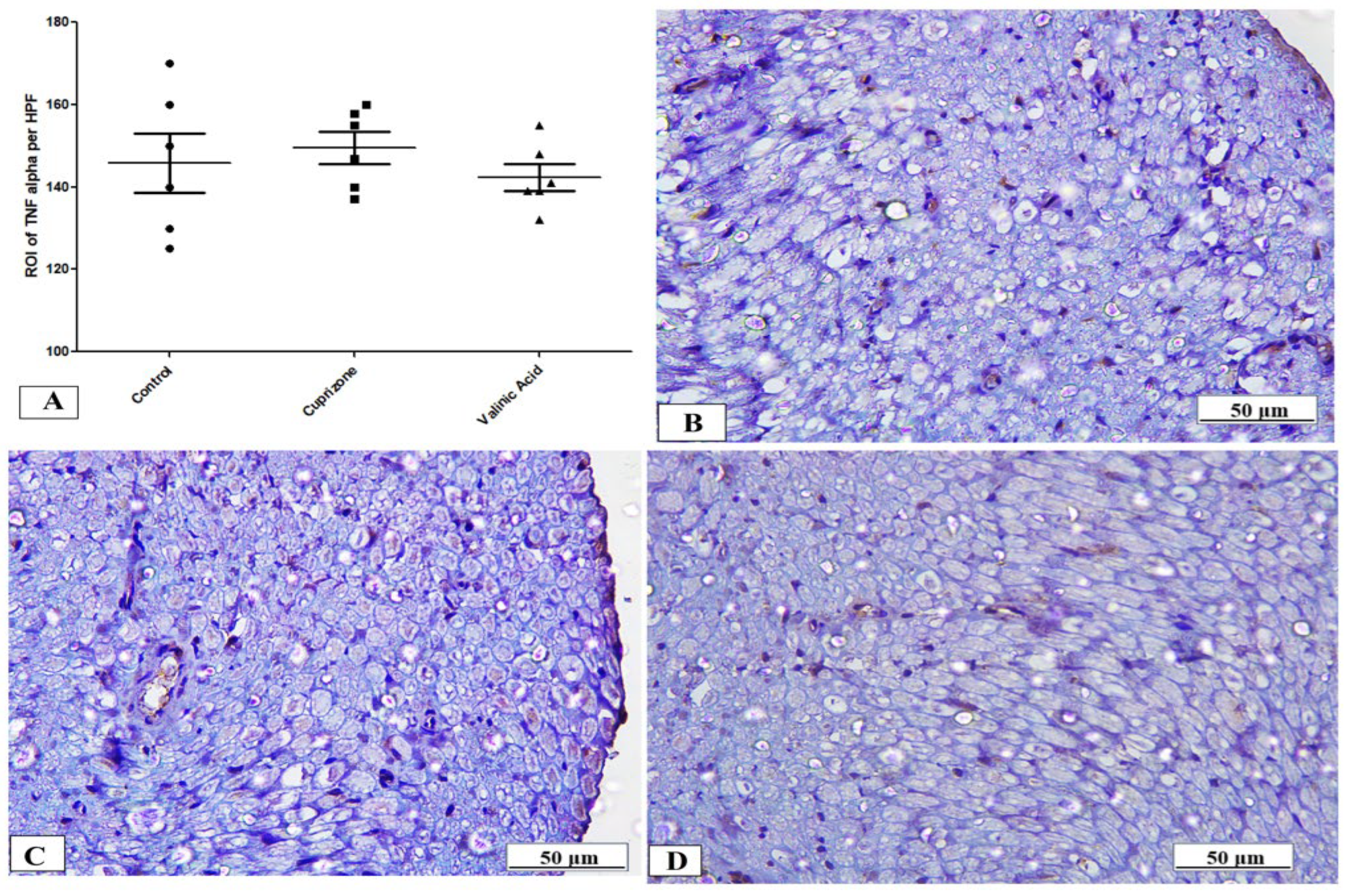 Brainsci 14 00012 g007