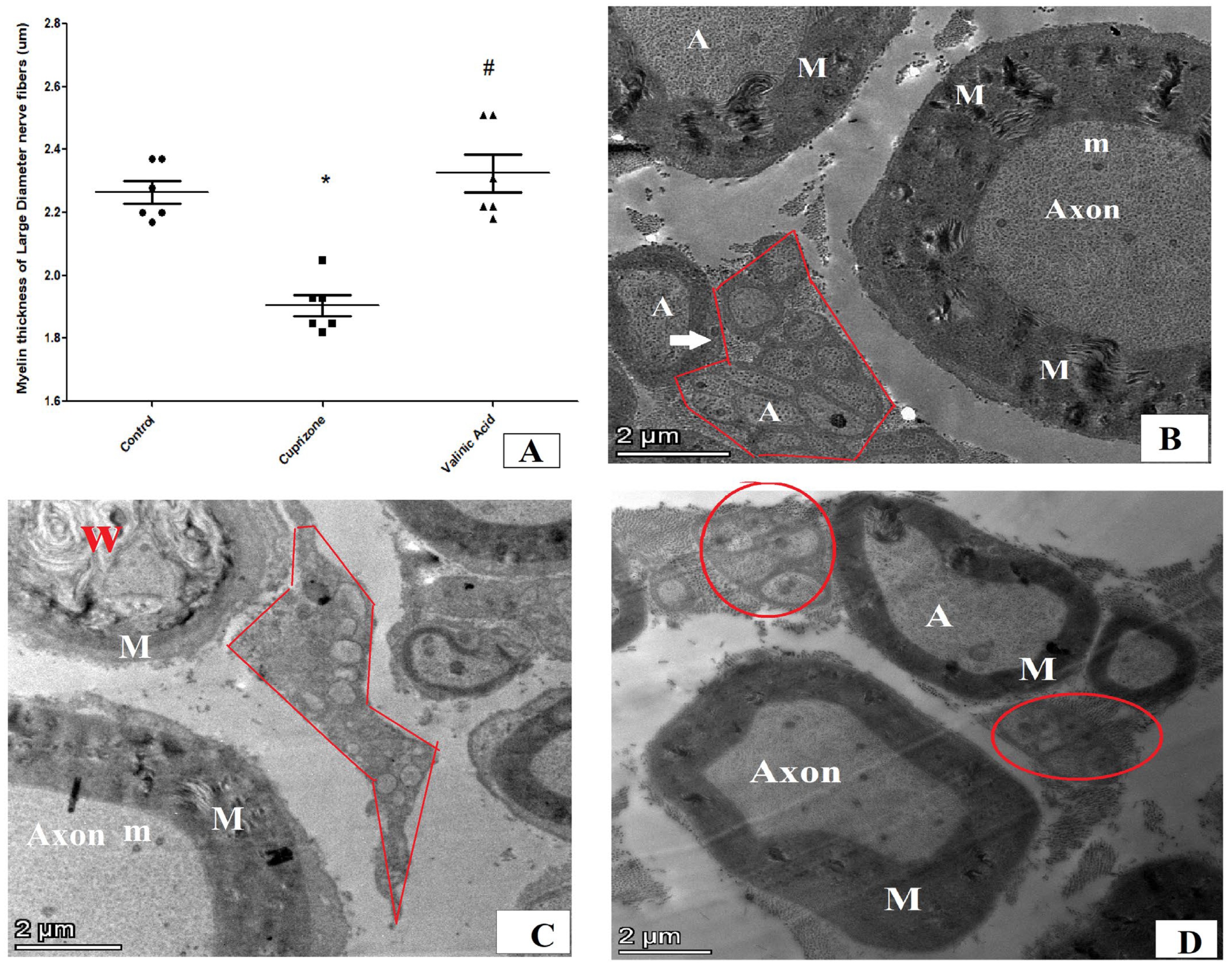 Brainsci 14 00012 g009