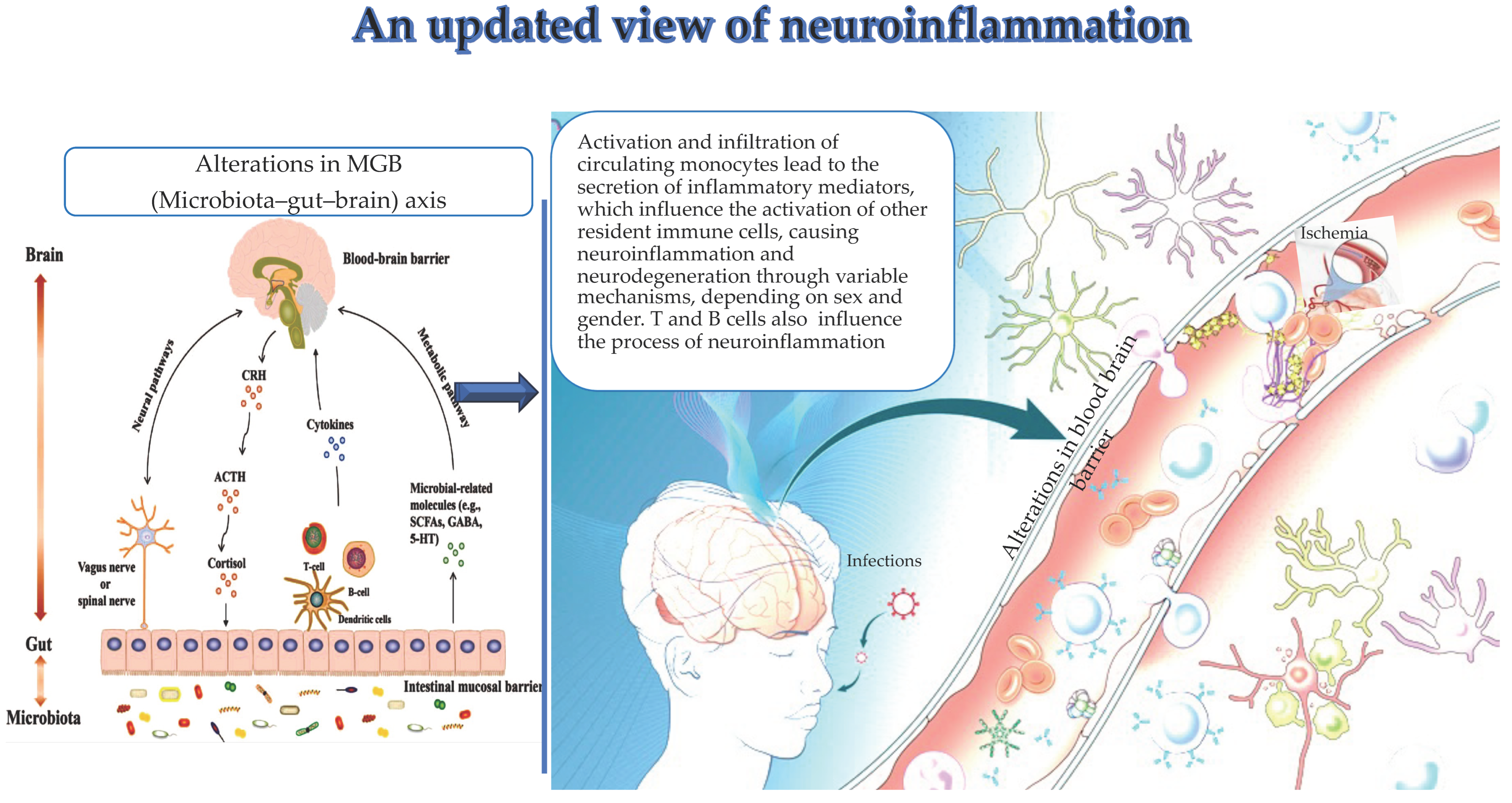 Brainsci 14 00019 g001 Brainsci 14 00019 g001