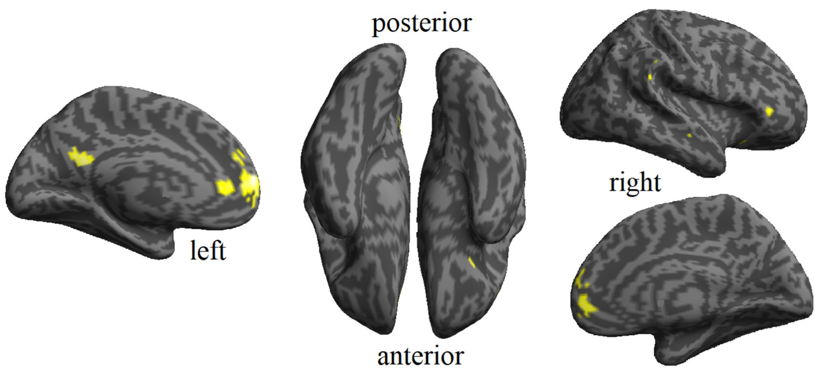 Brainsci 14 00039 g002