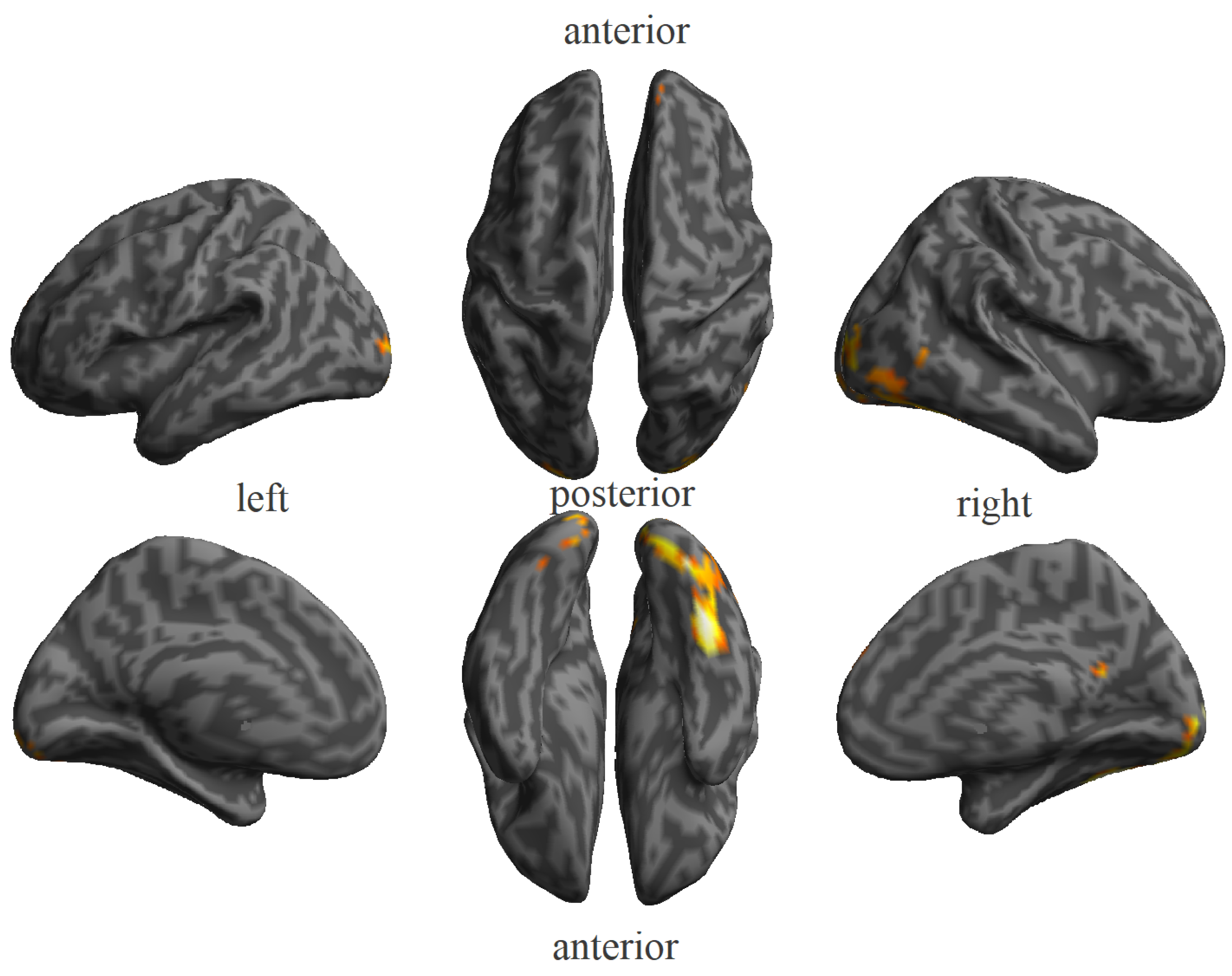 Brainsci 14 00039 g004