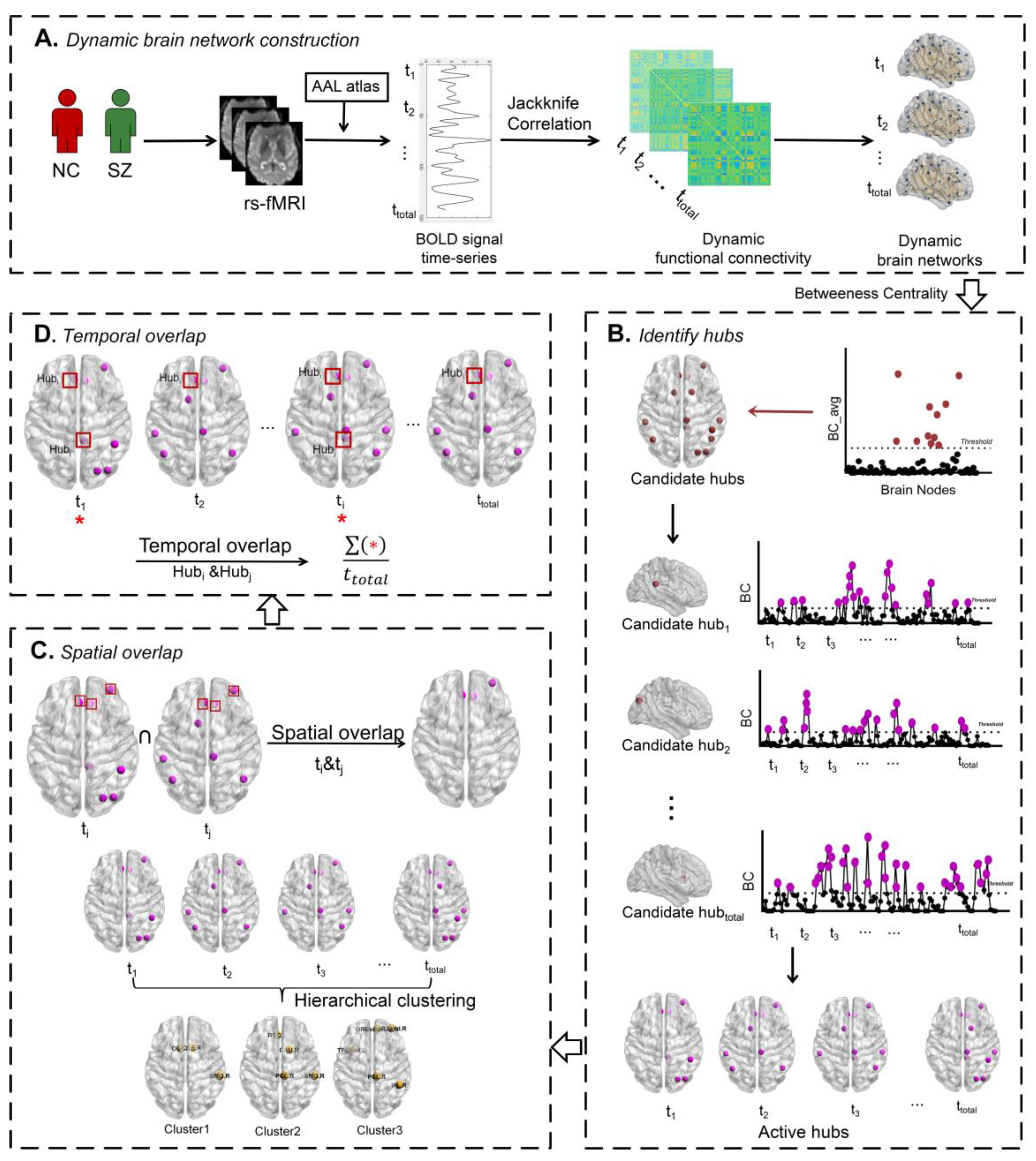 Brainsci 14 00040 g001