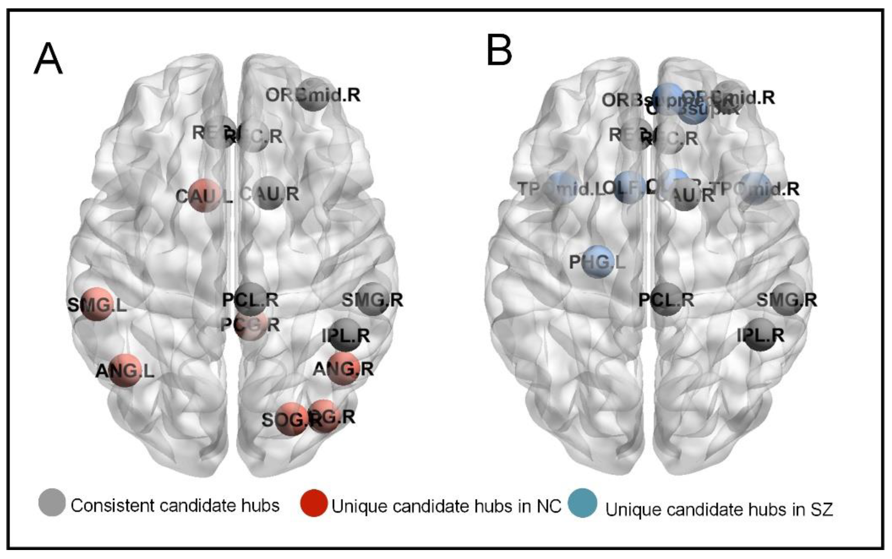 Brainsci 14 00040 g003