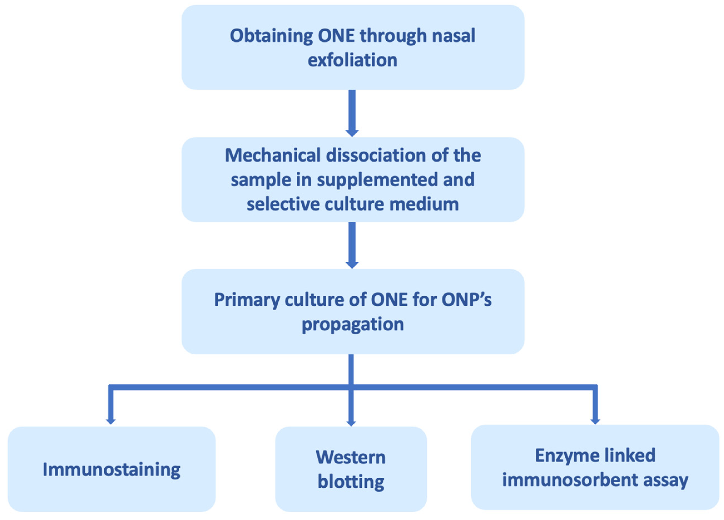 Brainsci 14 00046 g002