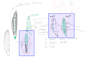 Brainsci 14 00060 i006