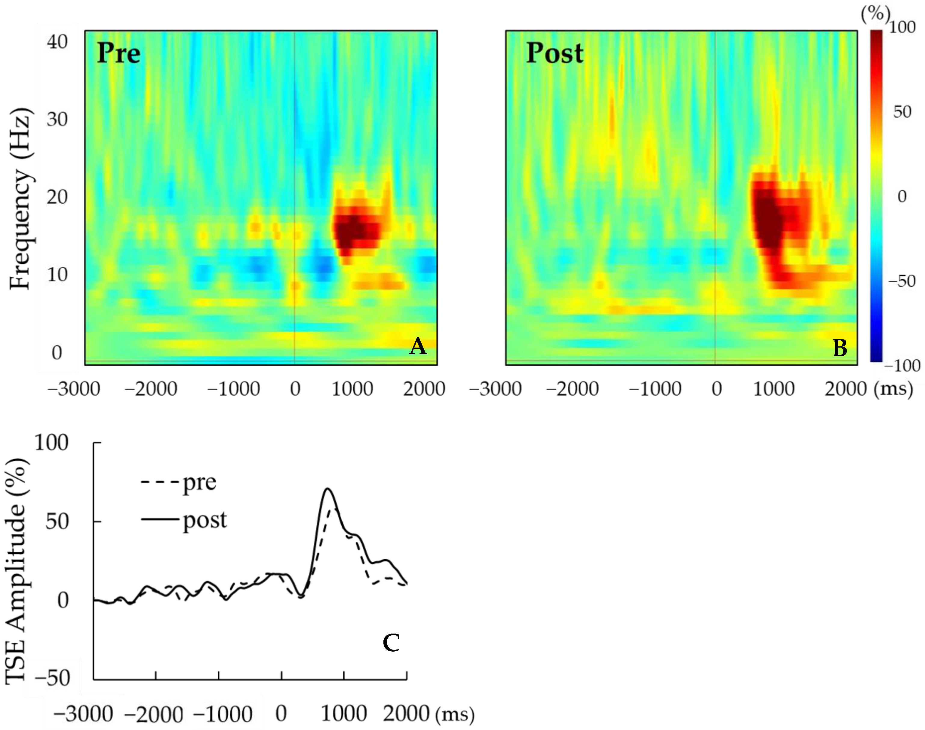 Brainsci 14 00074 g003