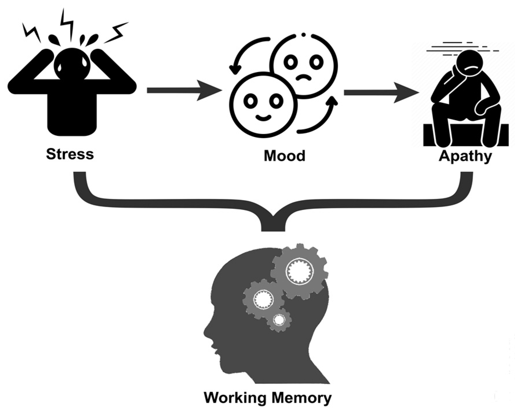 Brainsci 14 00078 g001