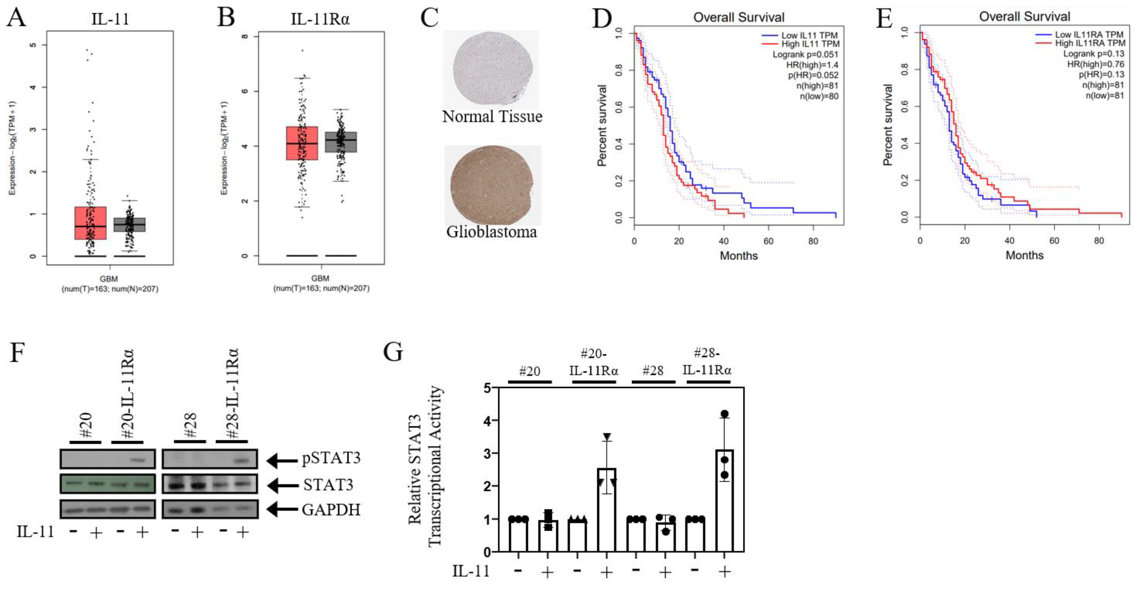 Brainsci 14 00089 g001