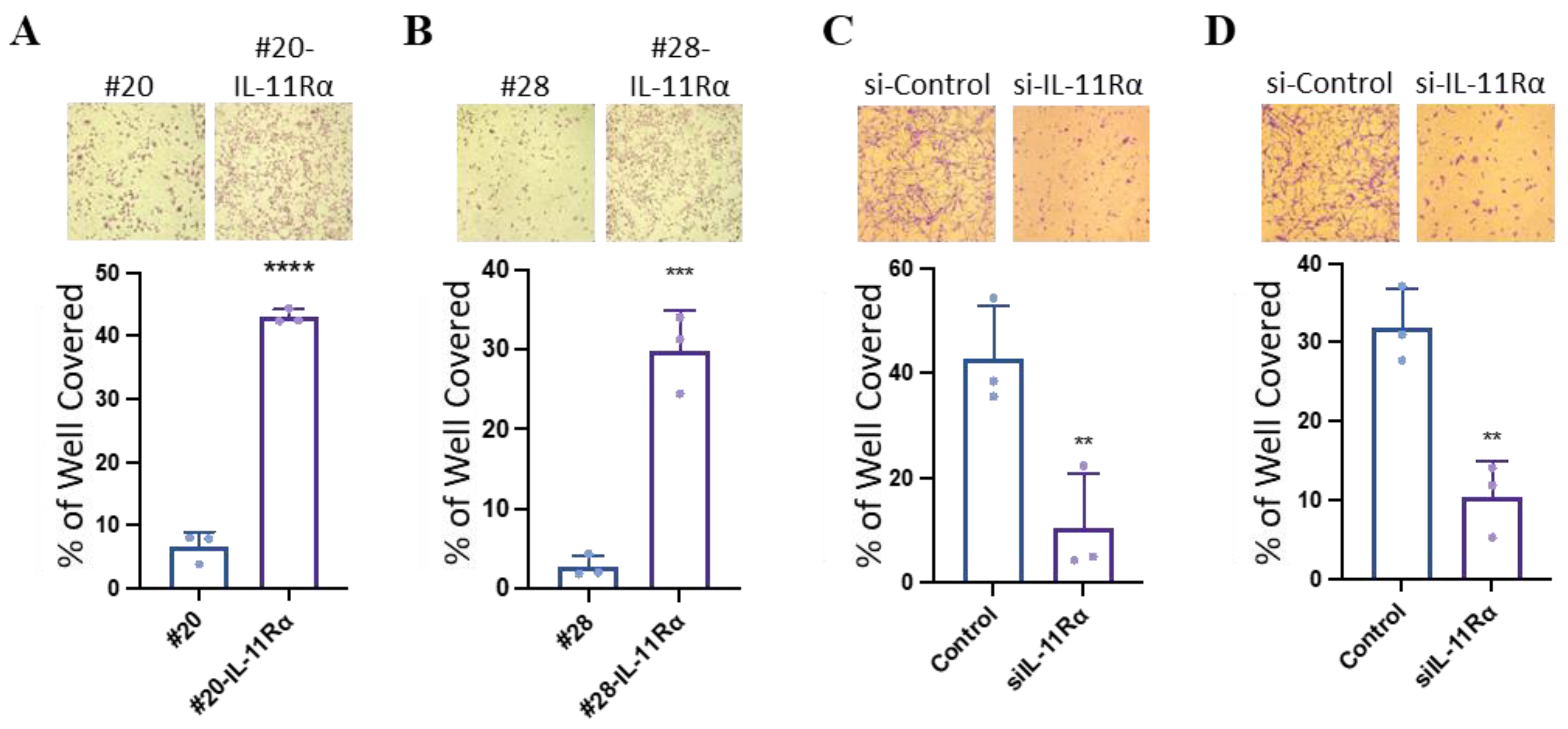 Brainsci 14 00089 g002