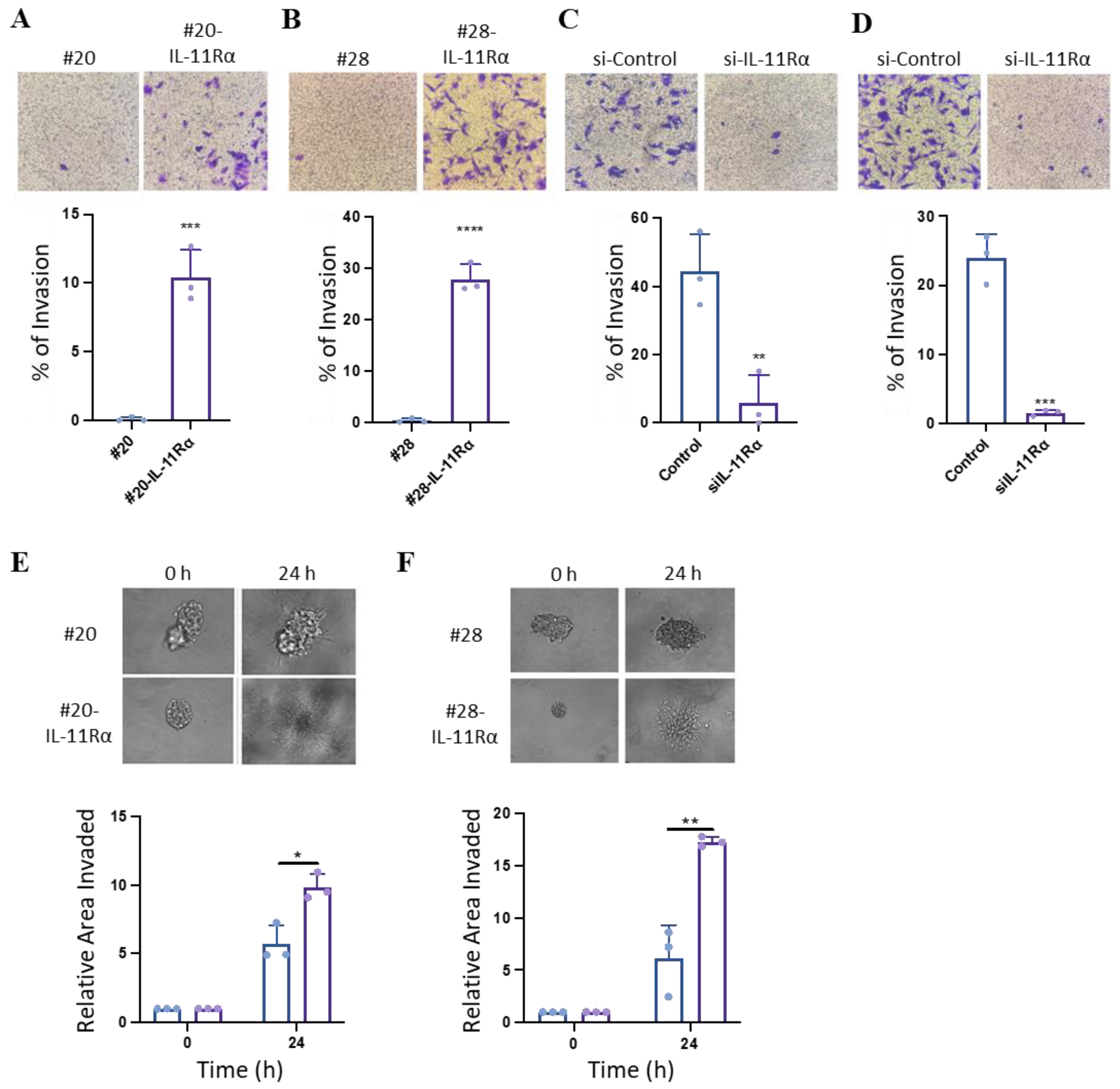 Brainsci 14 00089 g004