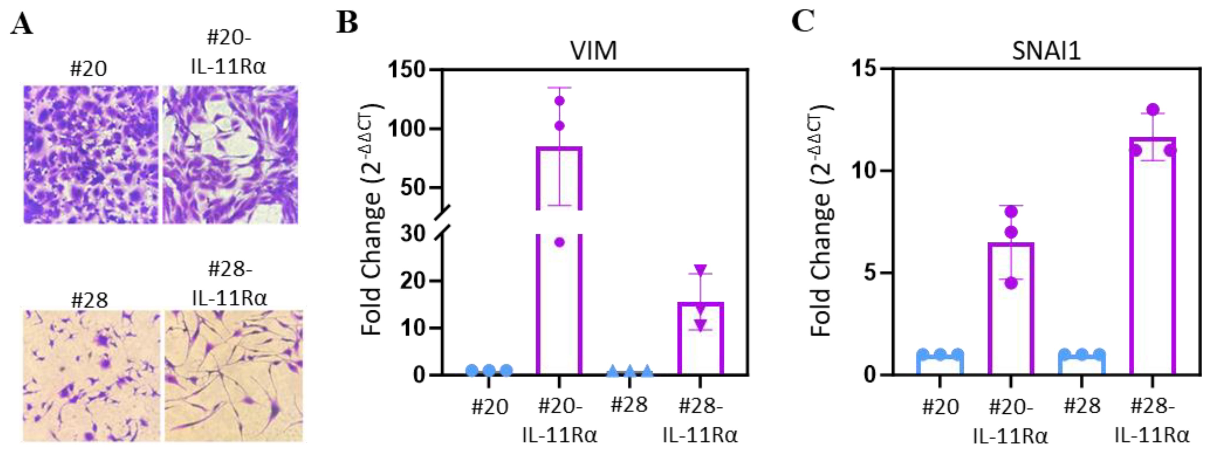 Brainsci 14 00089 g005