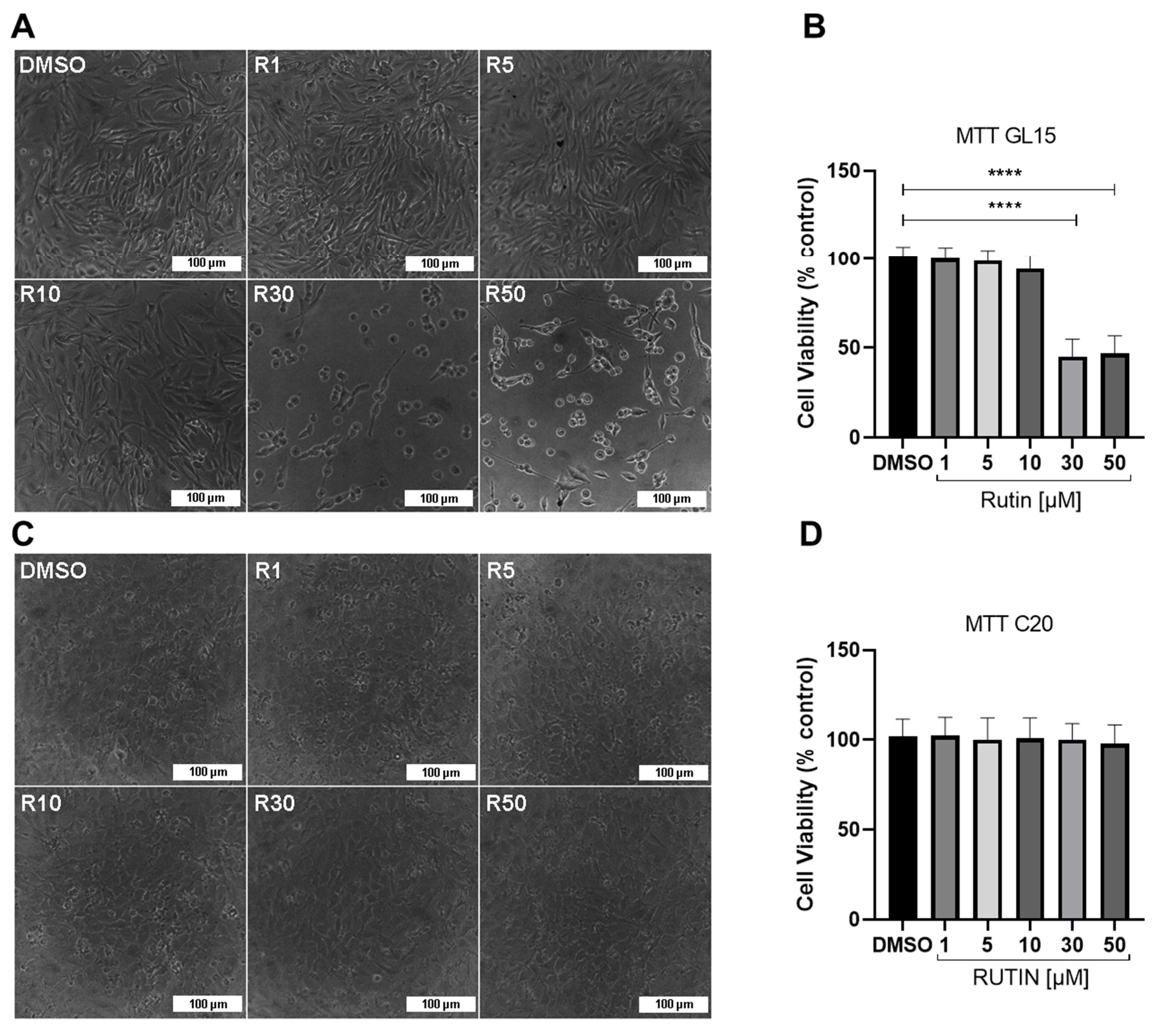 Brainsci 14 00090 g001