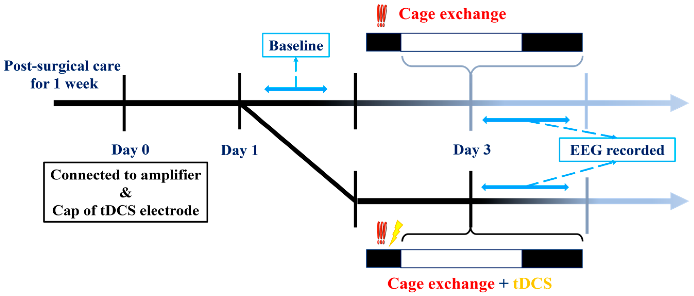 Brainsci 14 00105 g003