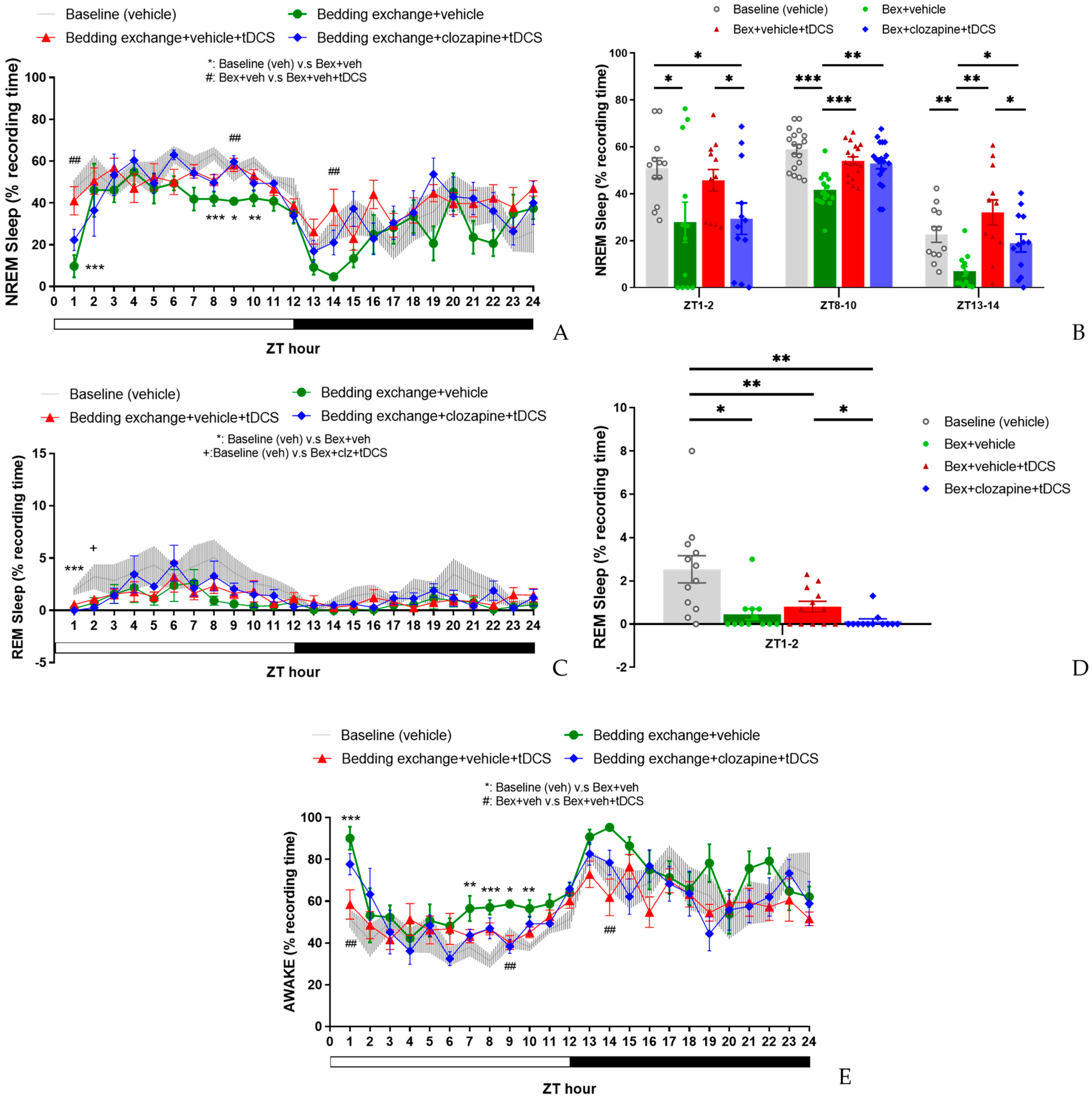 Brainsci 14 00105 g011