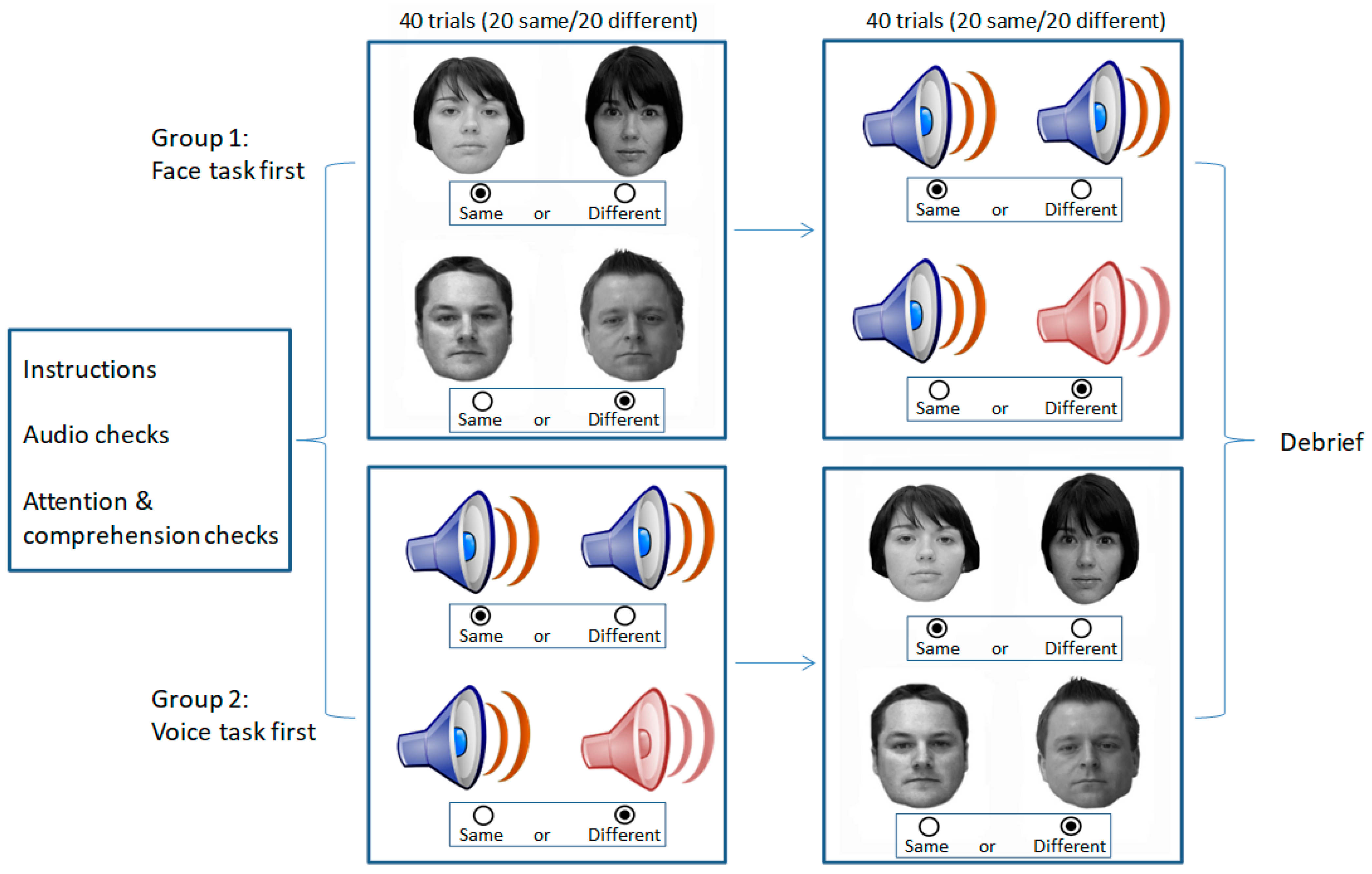 Brainsci 14 00112 g001